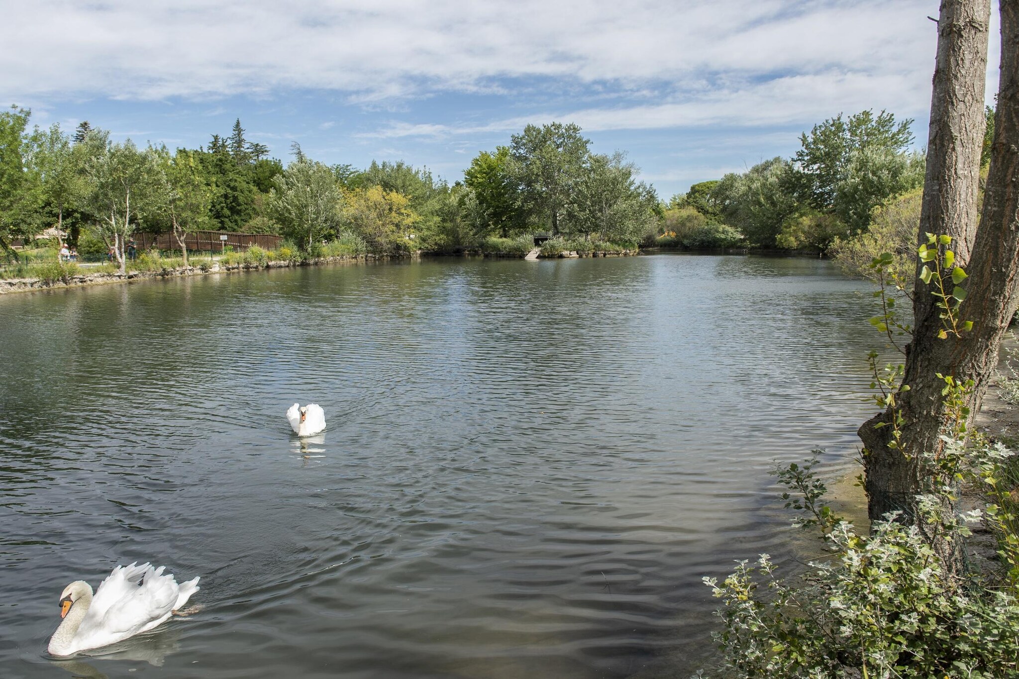 RÃ©sidence Sun Hols Les Rives du Lac Maison 2 piÃ¨ces 4 personnes - Gebiete Sommer 1 km