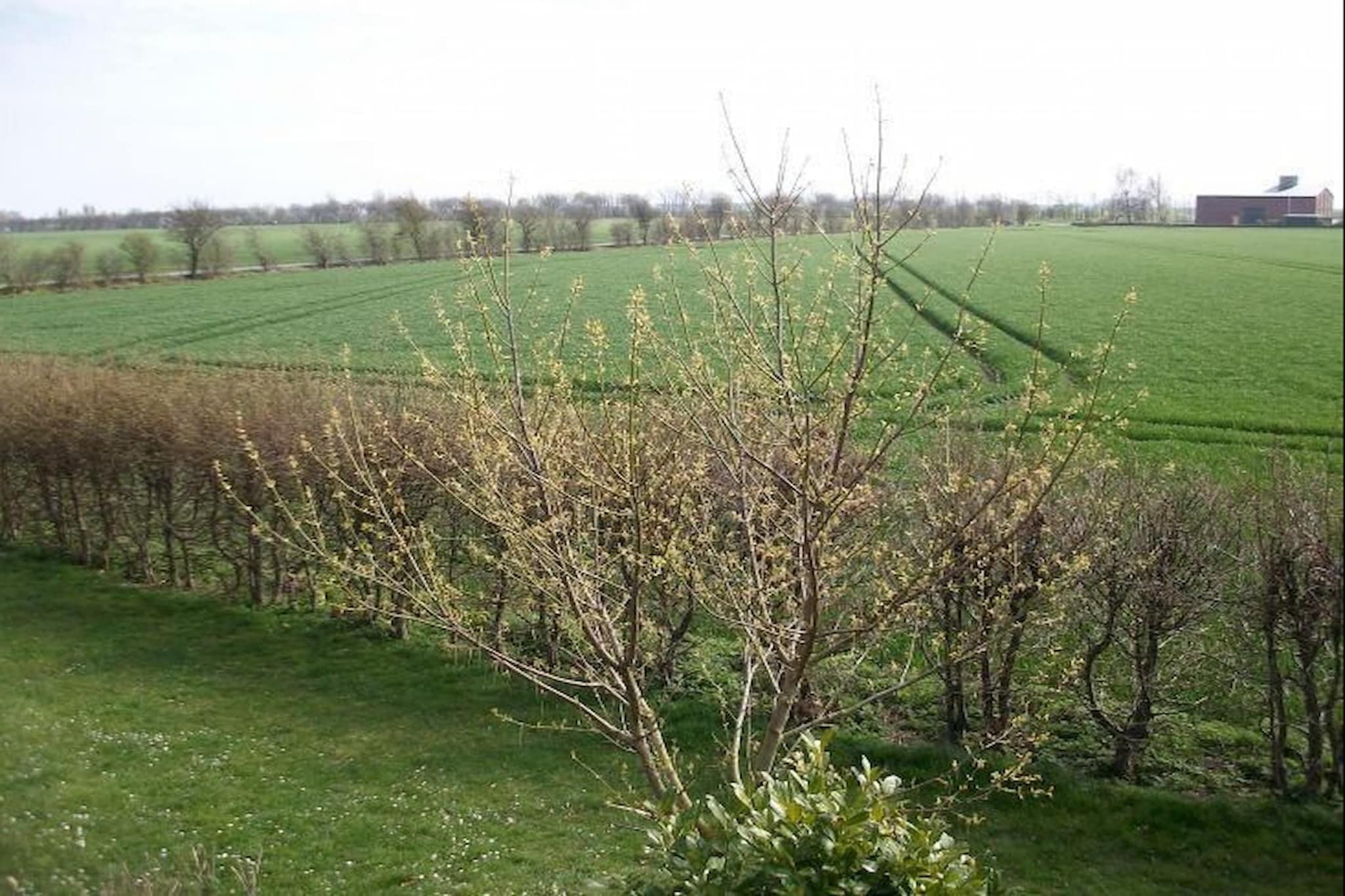 Ferienwohnung Balkon und Aussicht - Gebieden zomer 1km