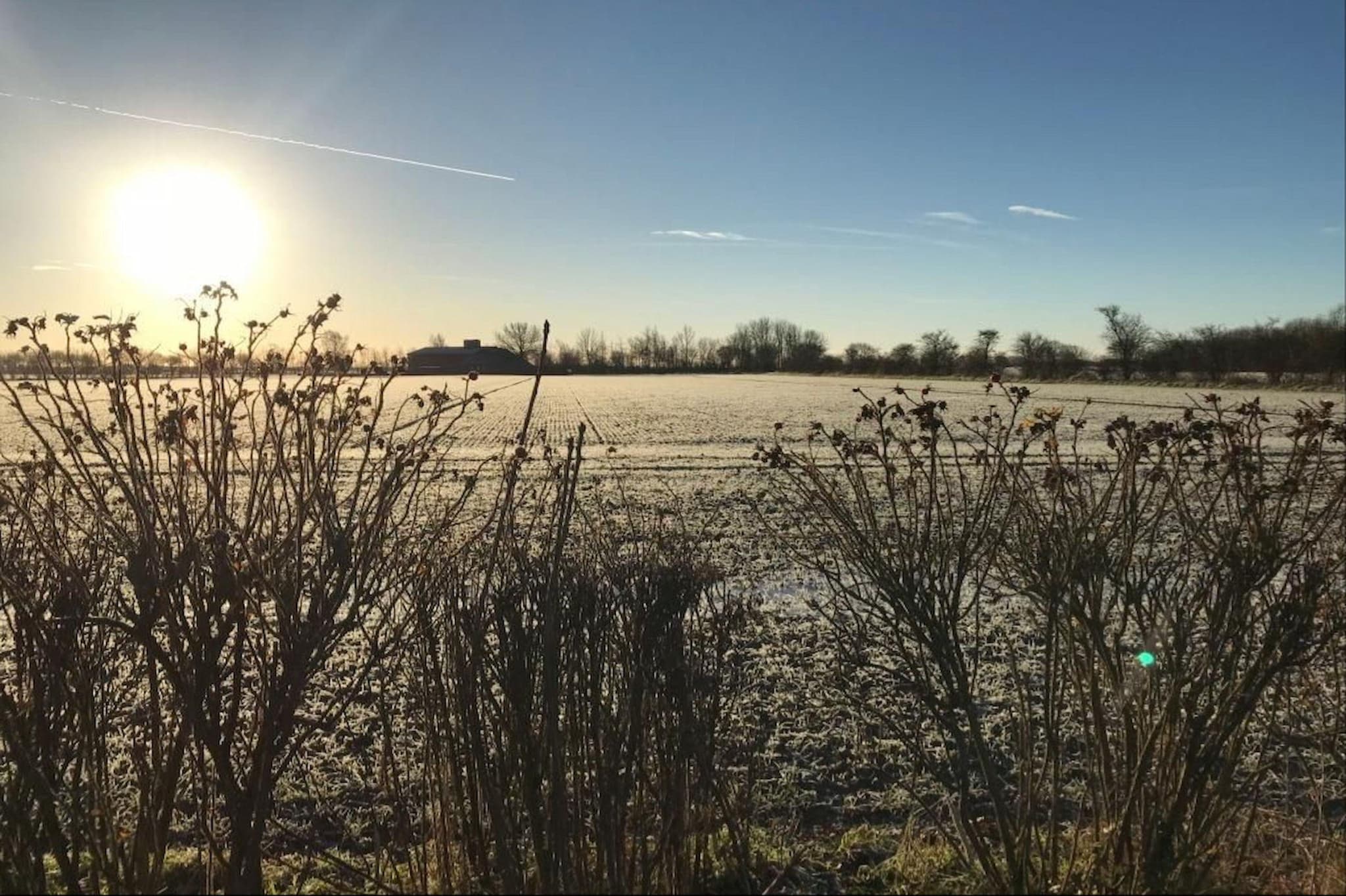 Ferienwohnung Kieferneck - Uitzicht winter