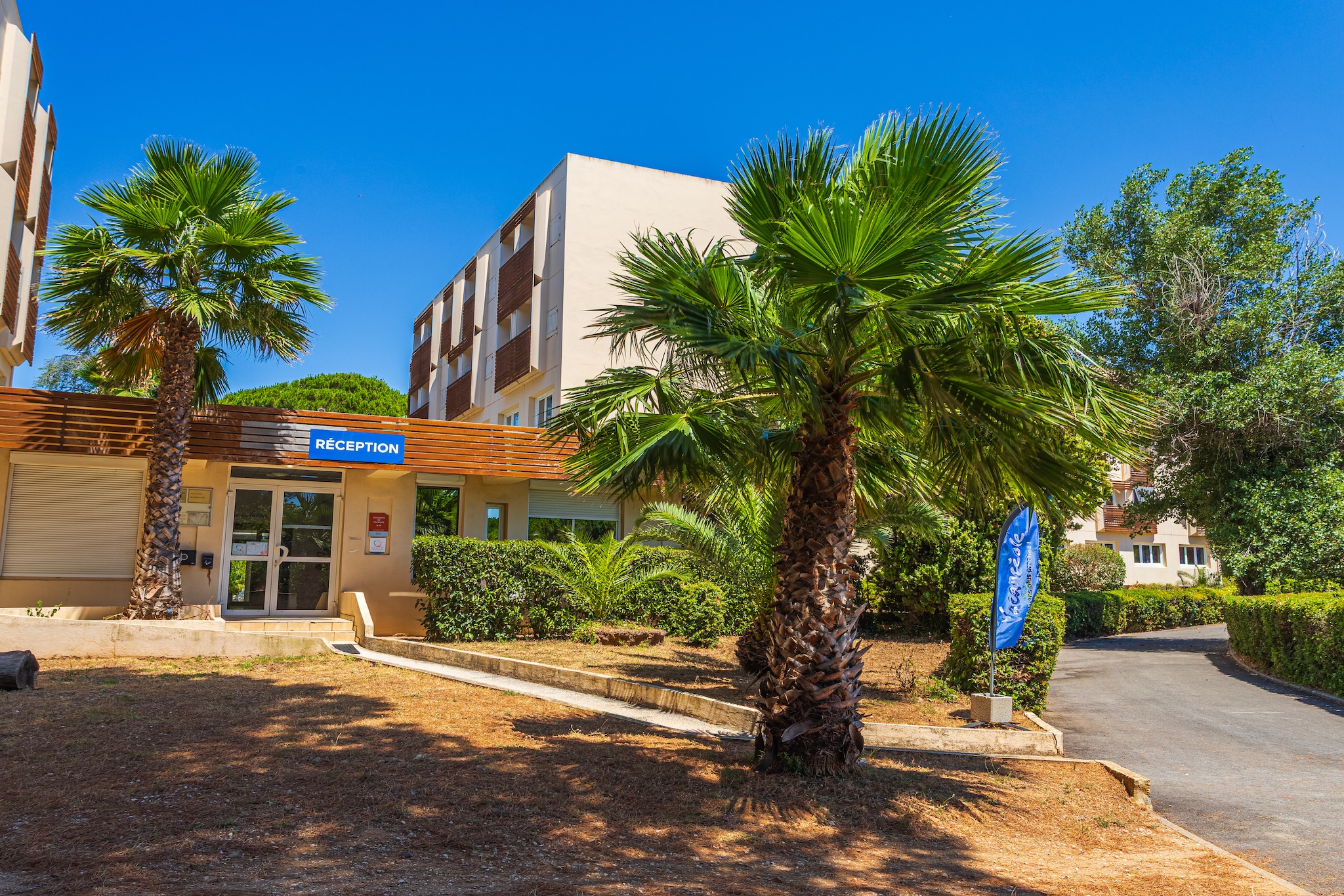 La Londe les Maures - RÃ©sidence L'Ile D'Or Appartement 3 piÃ¨ces 6 personnes - Tuinen zomer