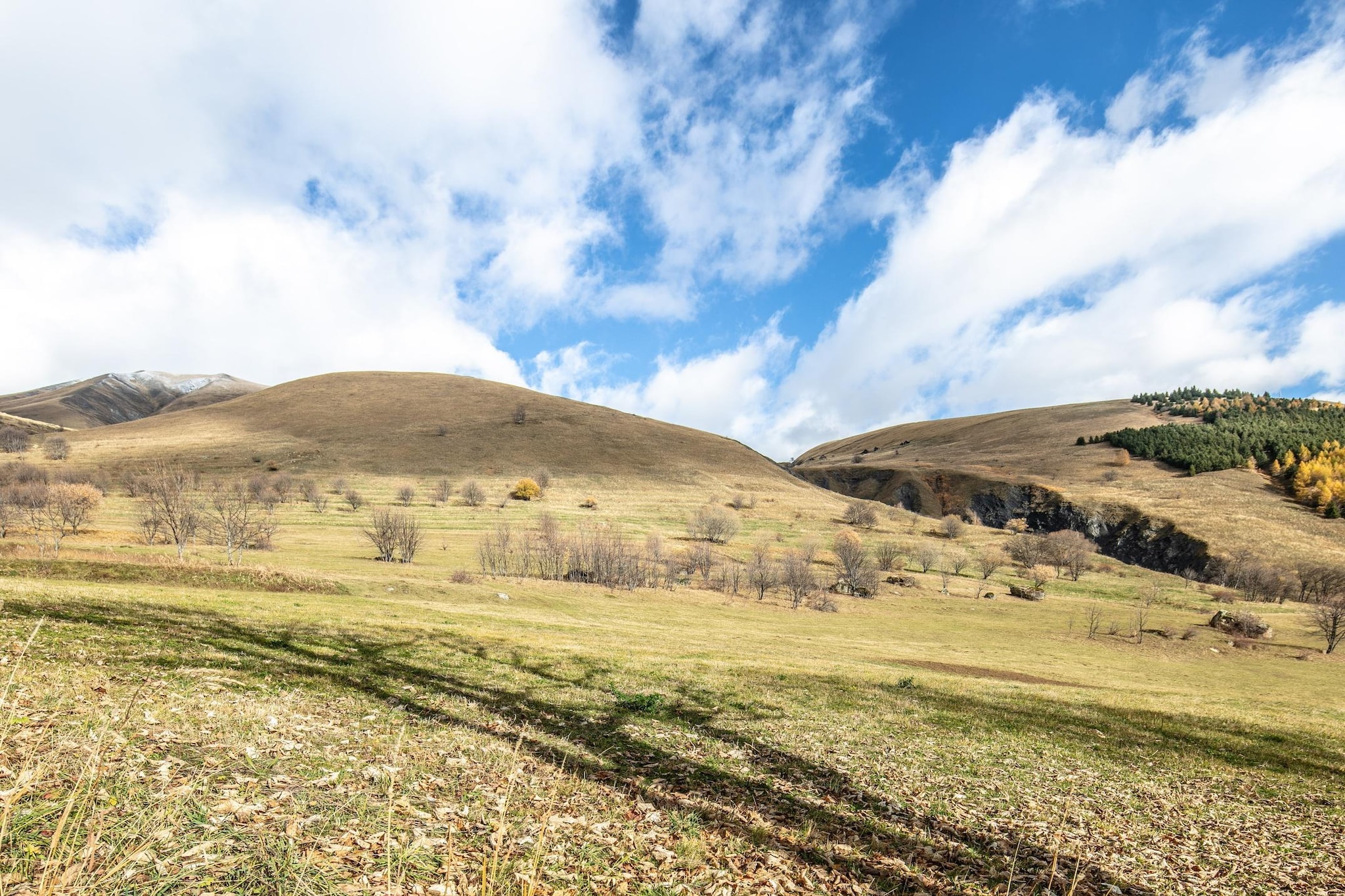 RÃ©sidence Le Hameau de l'Alpage	Studio 4 personnes avec coin nuit - Gebiete Sommer 1 km