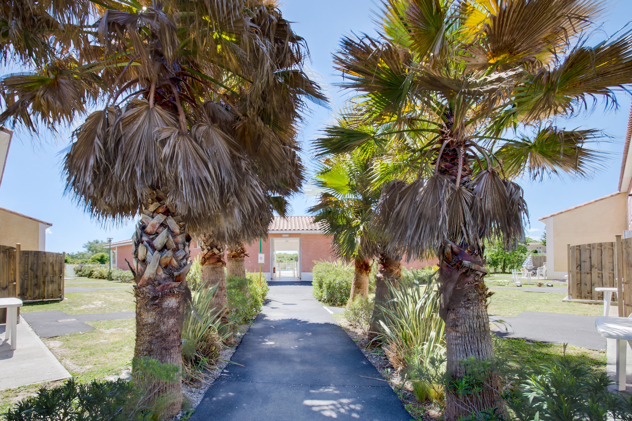Le Domaine d'EnsÃ©rune	Maison 3 piÃ¨ces 6 personnes - Tuinen zomer