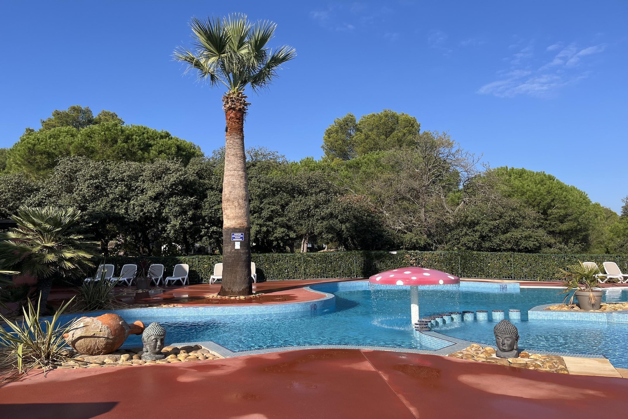 Pool Of House