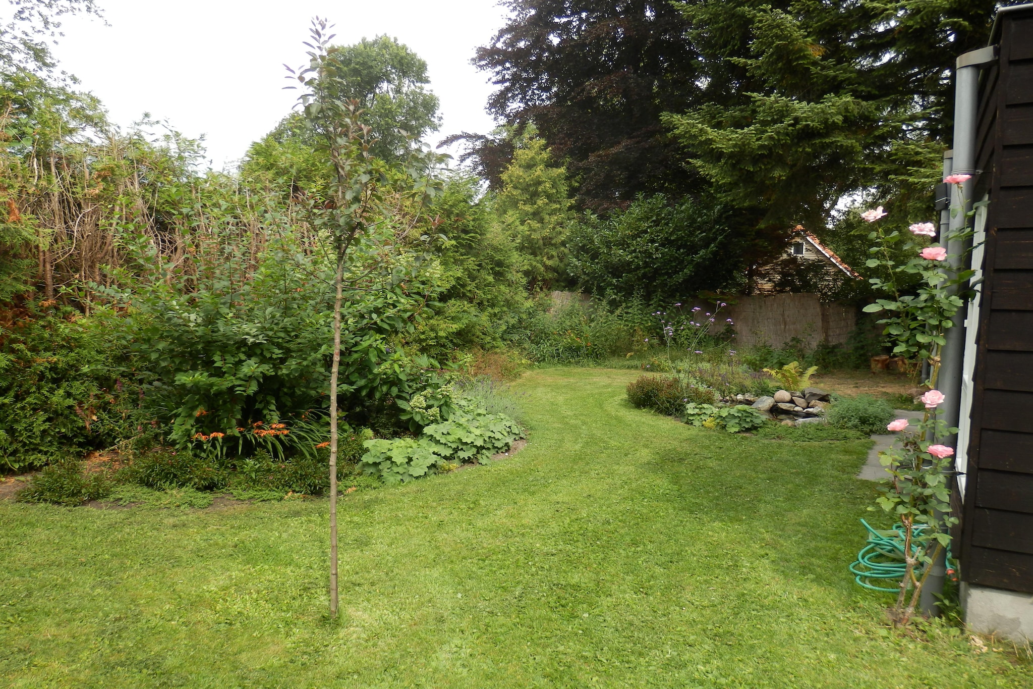 Vacation home Balkbrug - Jardins en été