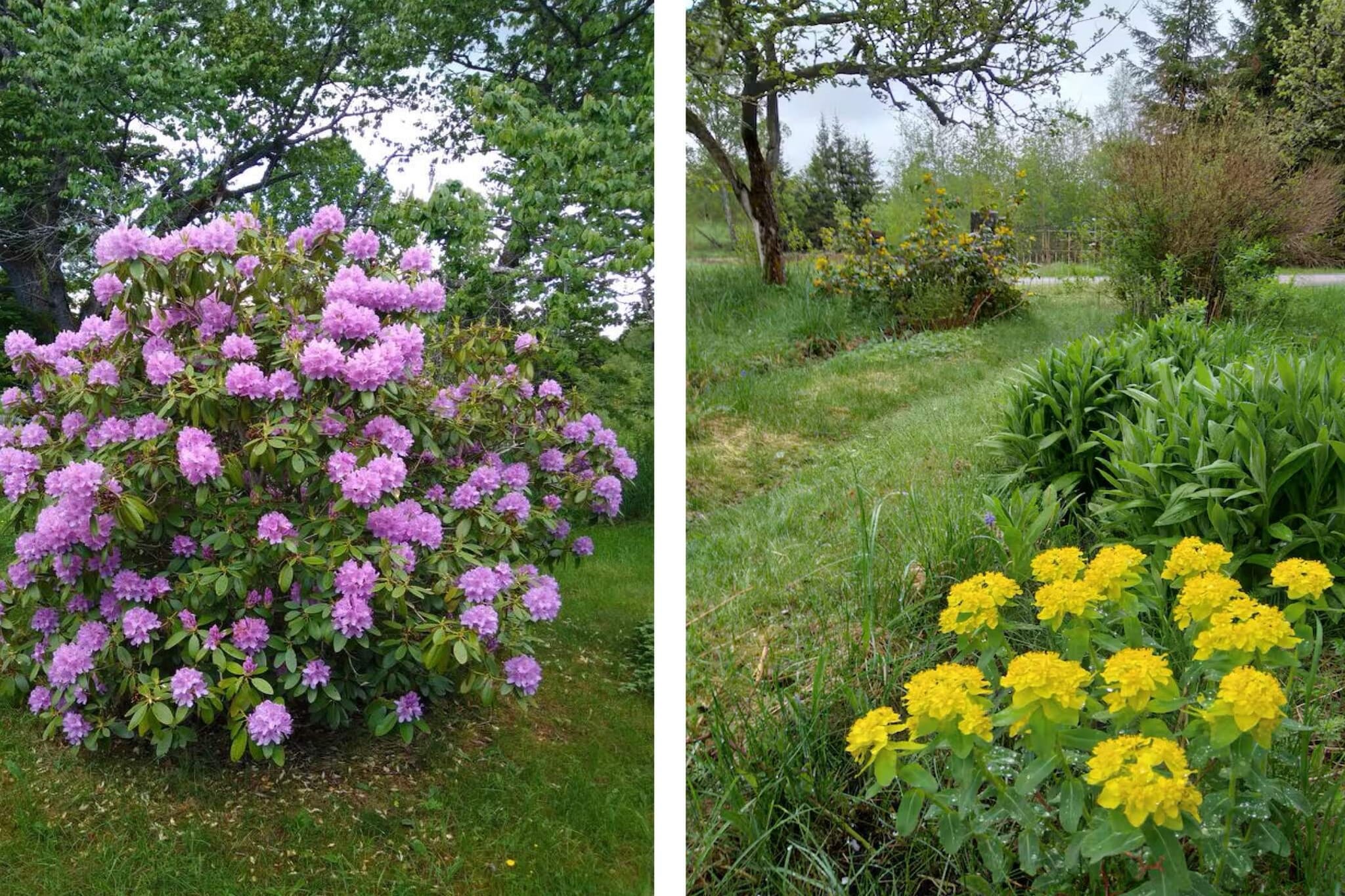 4 Personen vakantie huis in MARIANNELUND - Buitenlucht