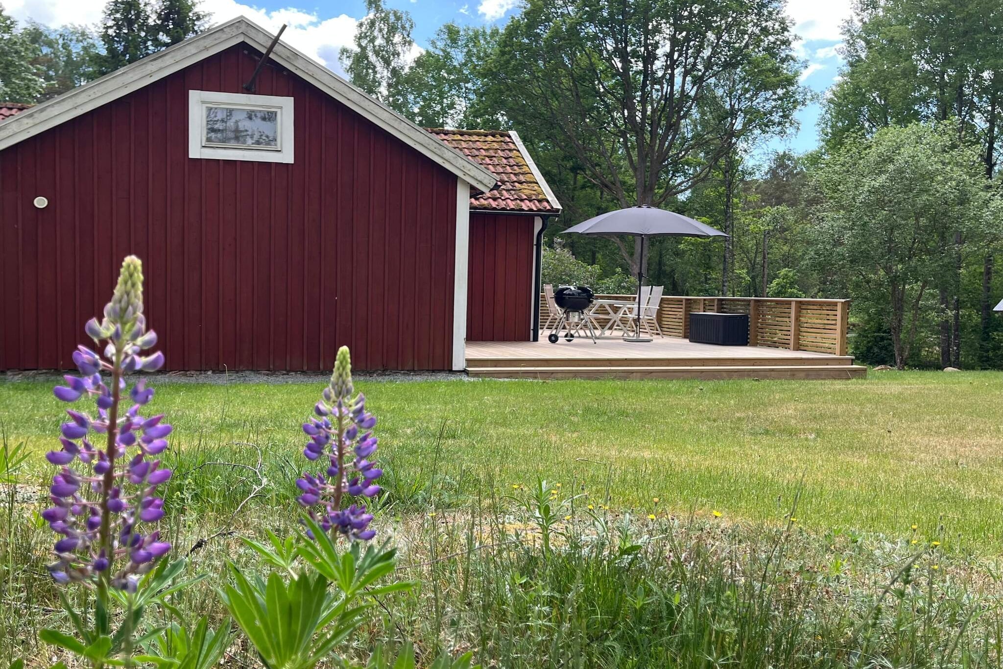 4 sterren vakantie huis in EMMABODA - Buitenlucht
