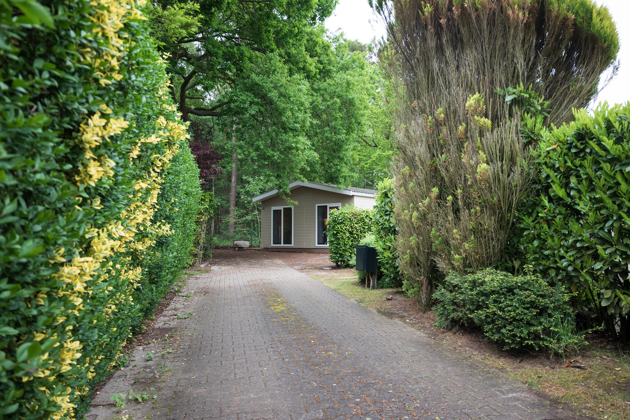 Vakantie home Coevorderweg - Exterior in summer