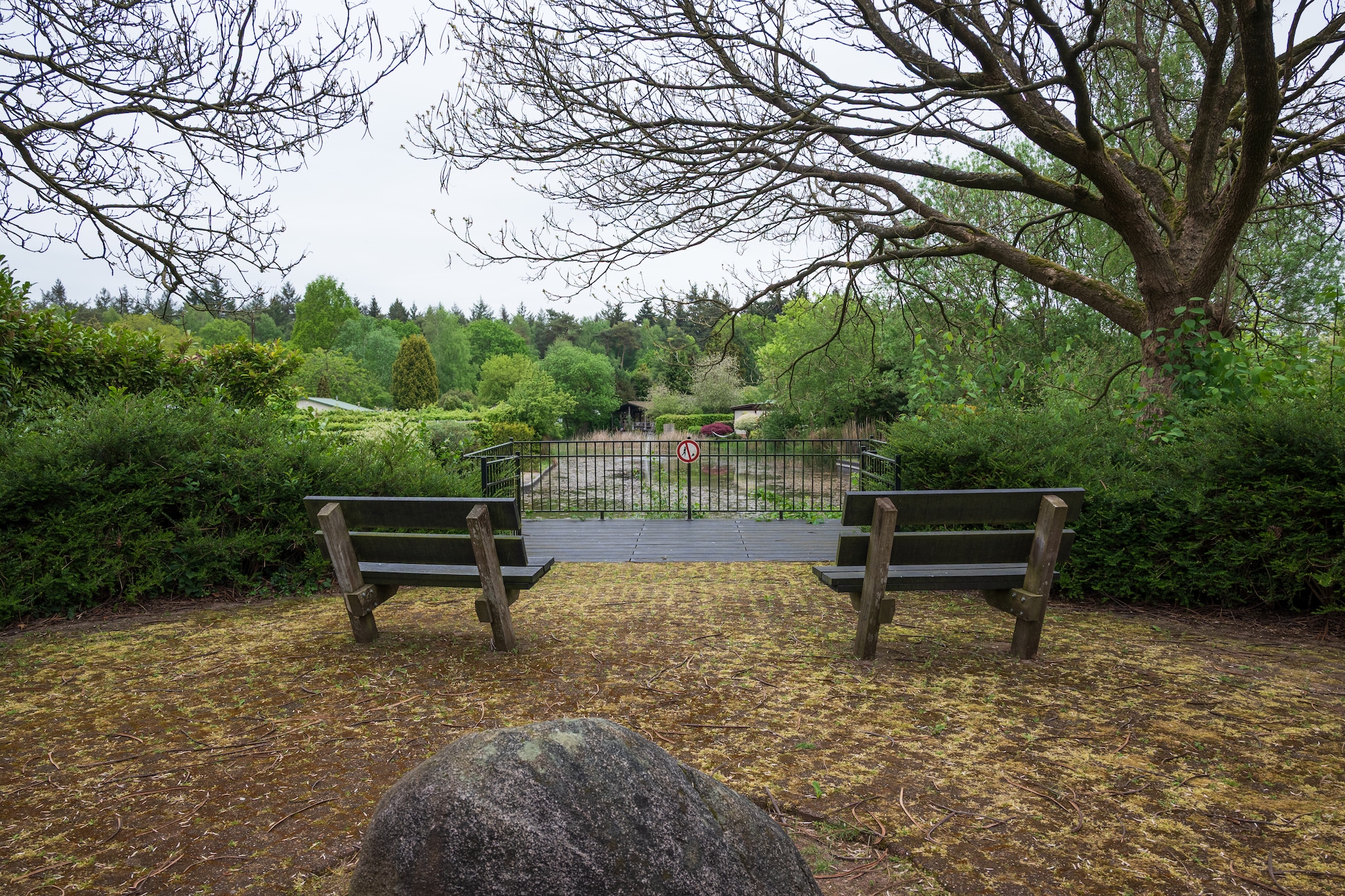 Vakantie home Coevorderweg - Areas within 1km in summer