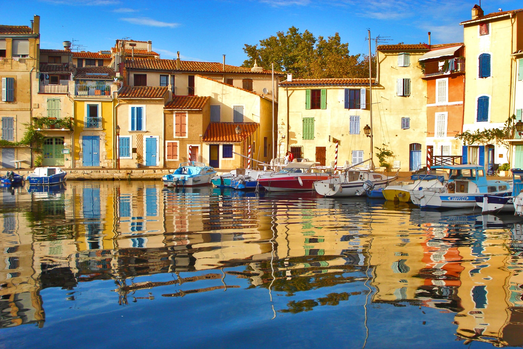 Palatino N°1