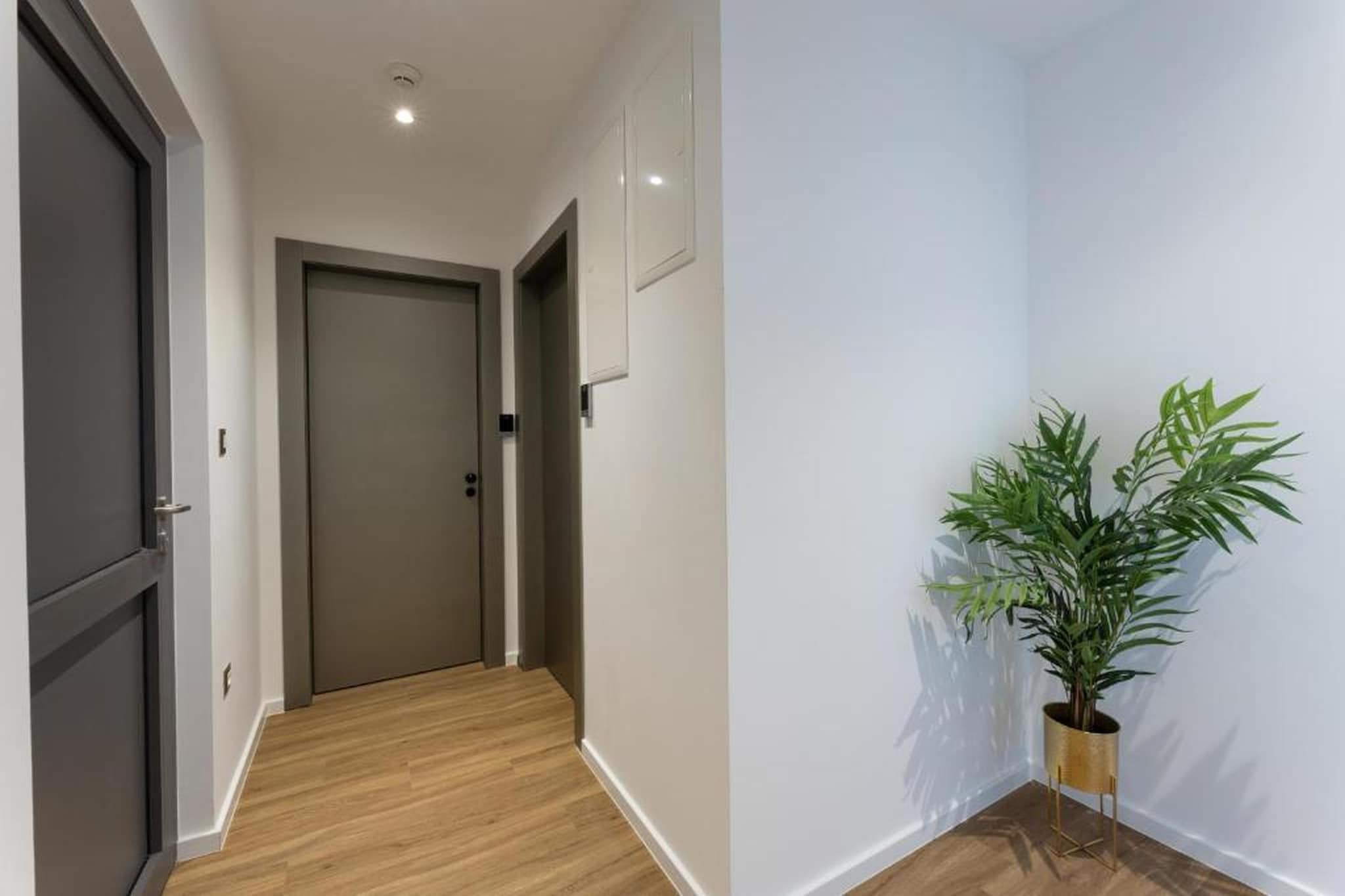 PICTAS Residence - Standard Double or Twin Room with Balcony - Hall / réception