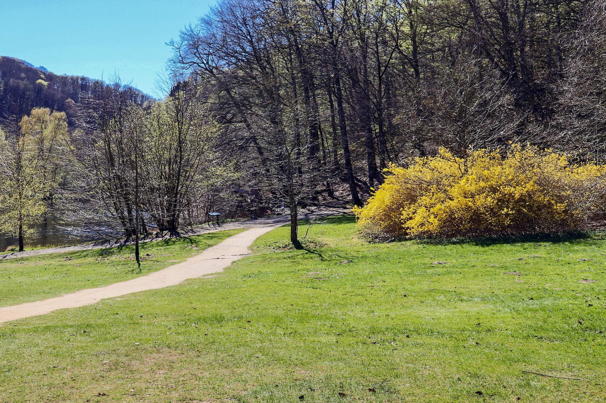 6 Personen vakantie huis in Ljungbyhed - Niet-getagd