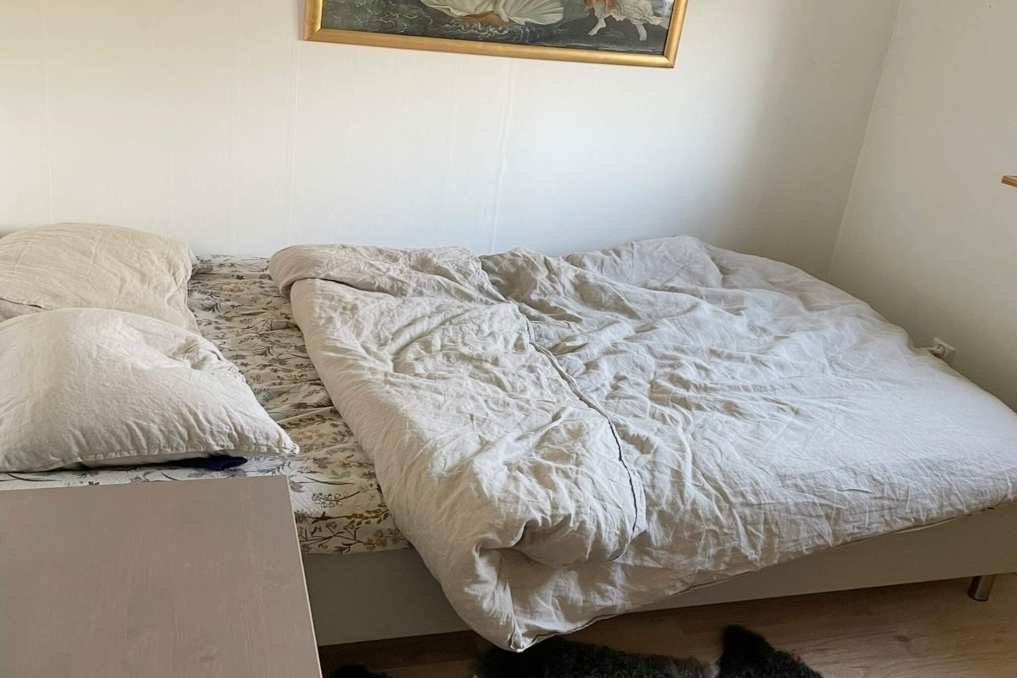 4 Personen vakantie huis in BORGHOLM - Binnen