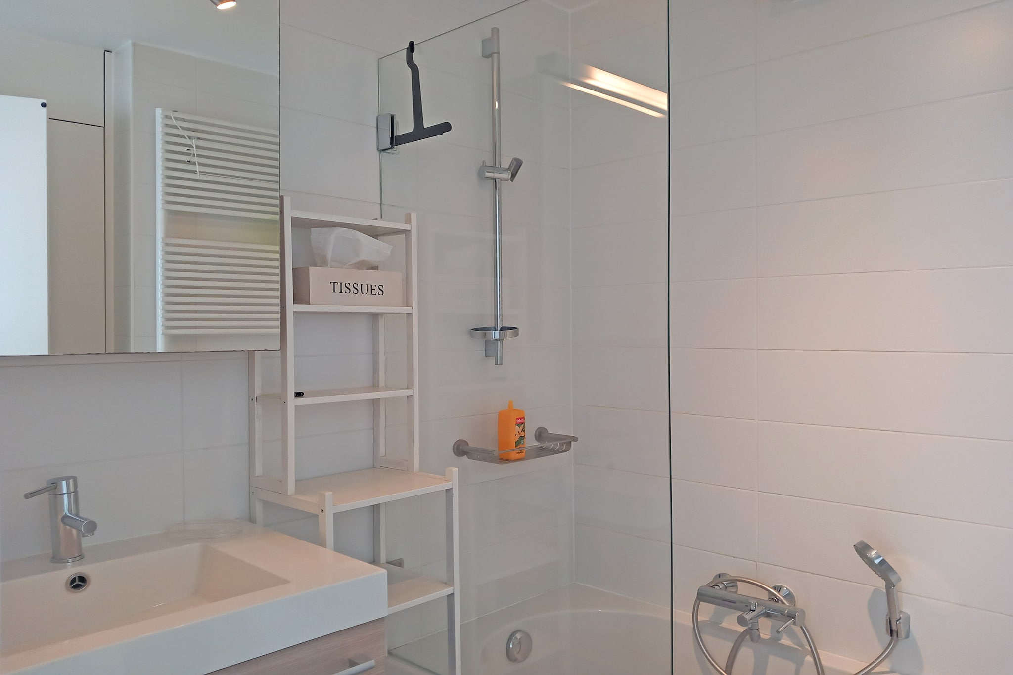 Lippens family apartment 11 - Badkamer