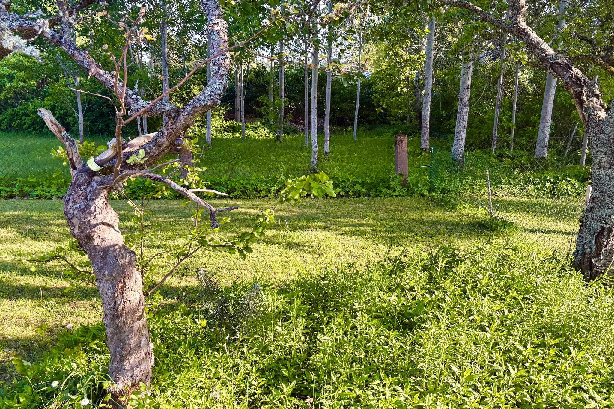 4 sterren vakantie huis in Södra vi - Buitenlucht