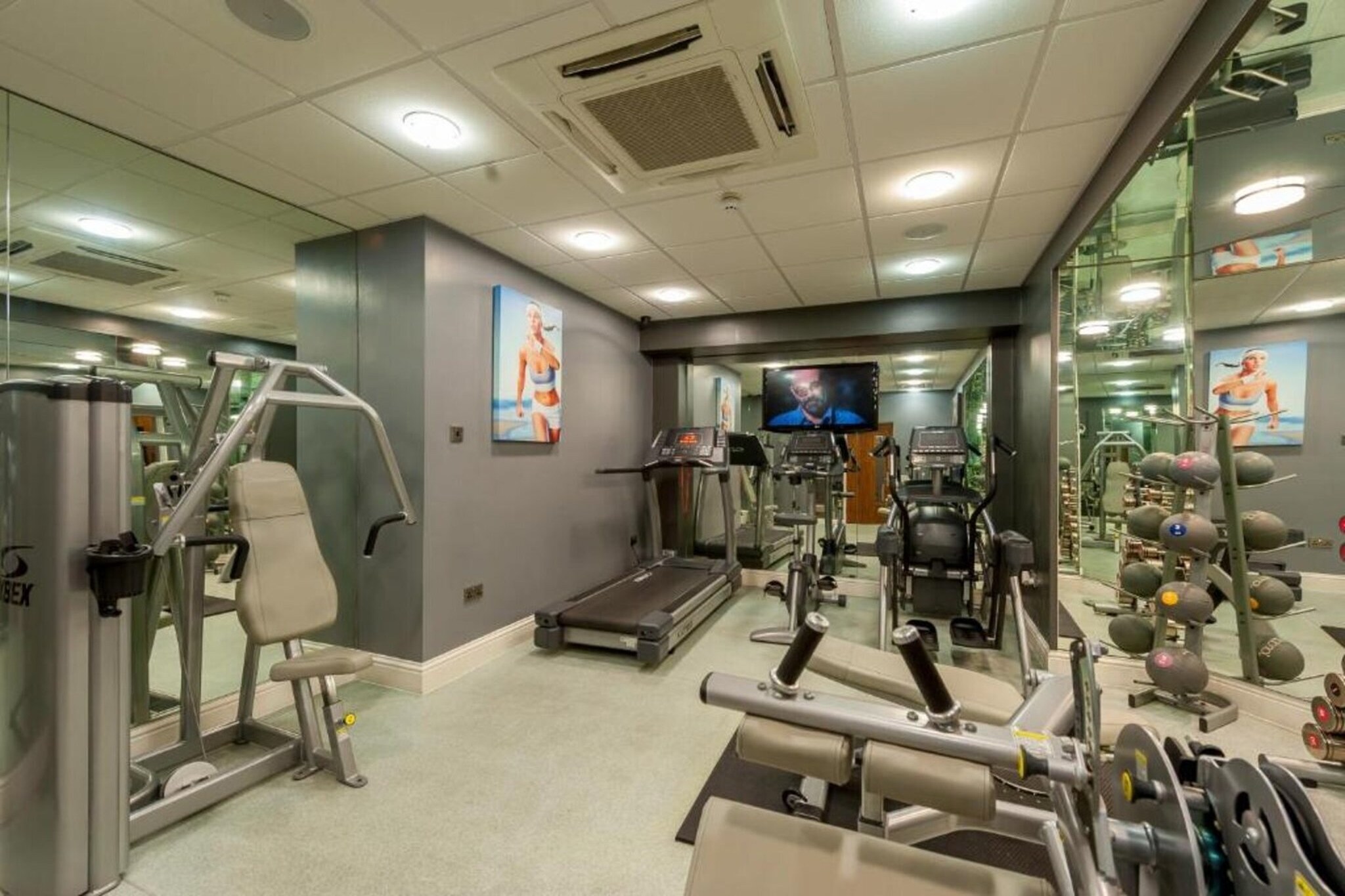 Deluxe Quad Suite - Wellness