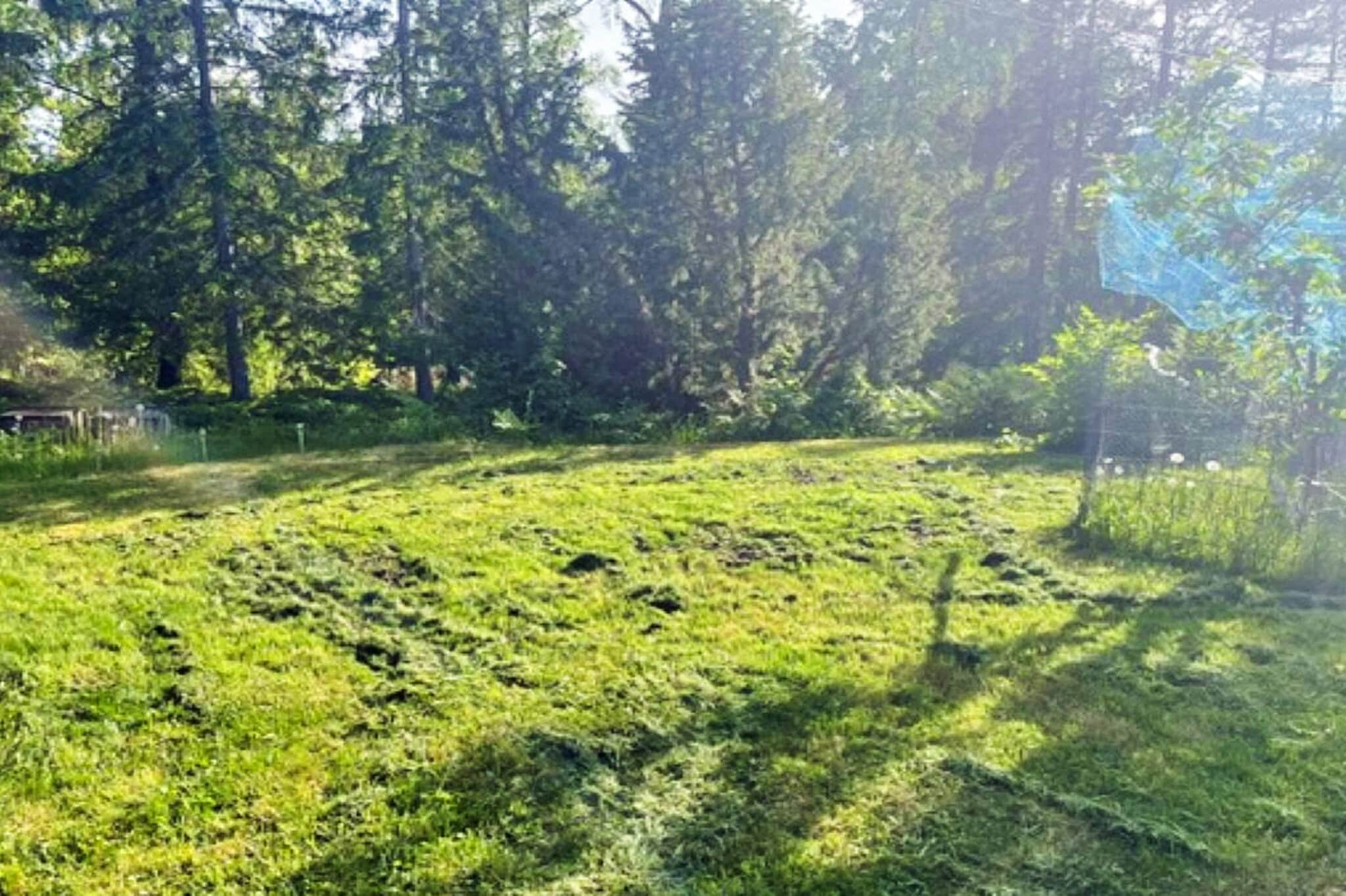 4 sterren vakantie huis in Djurhamn - Buitenlucht