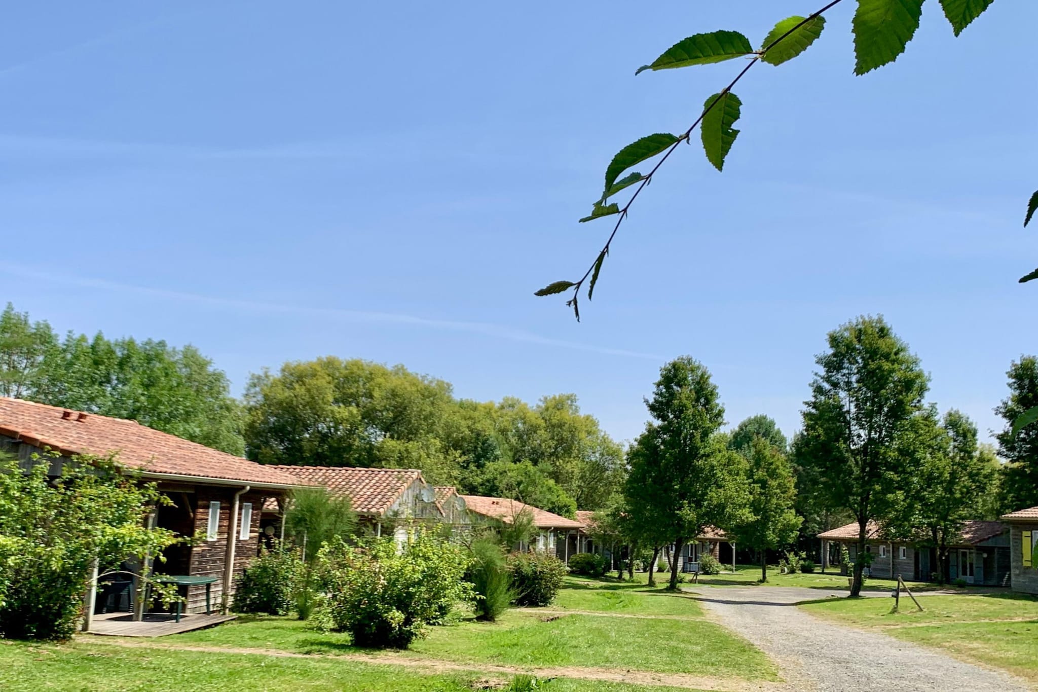 Natura Resort Pescalis 2-Bedroom Cottage - 4 people - Gebieden zomer 1km