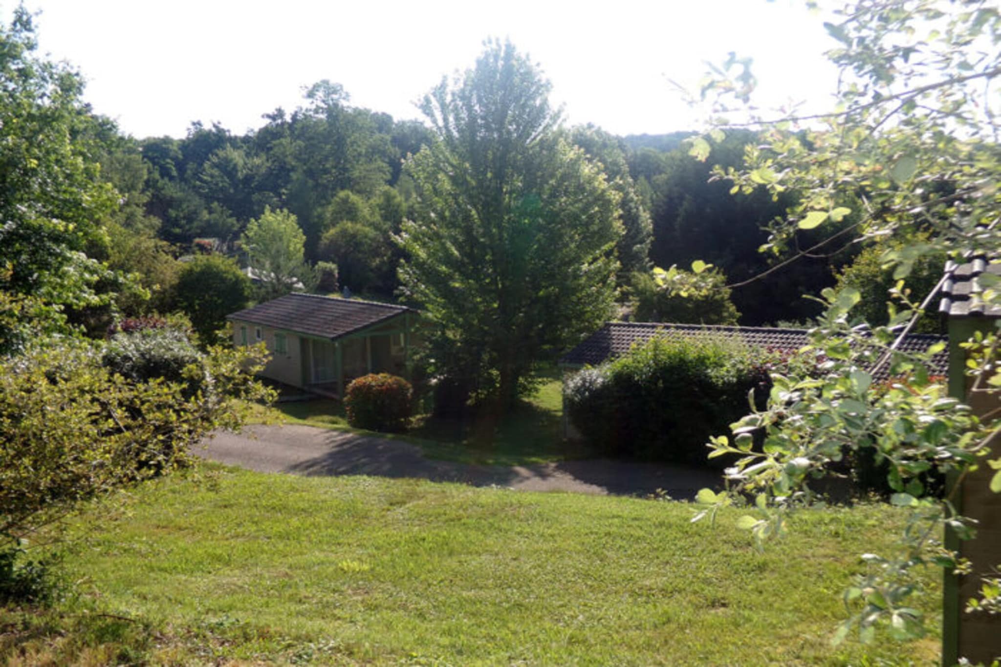 Garden Summer