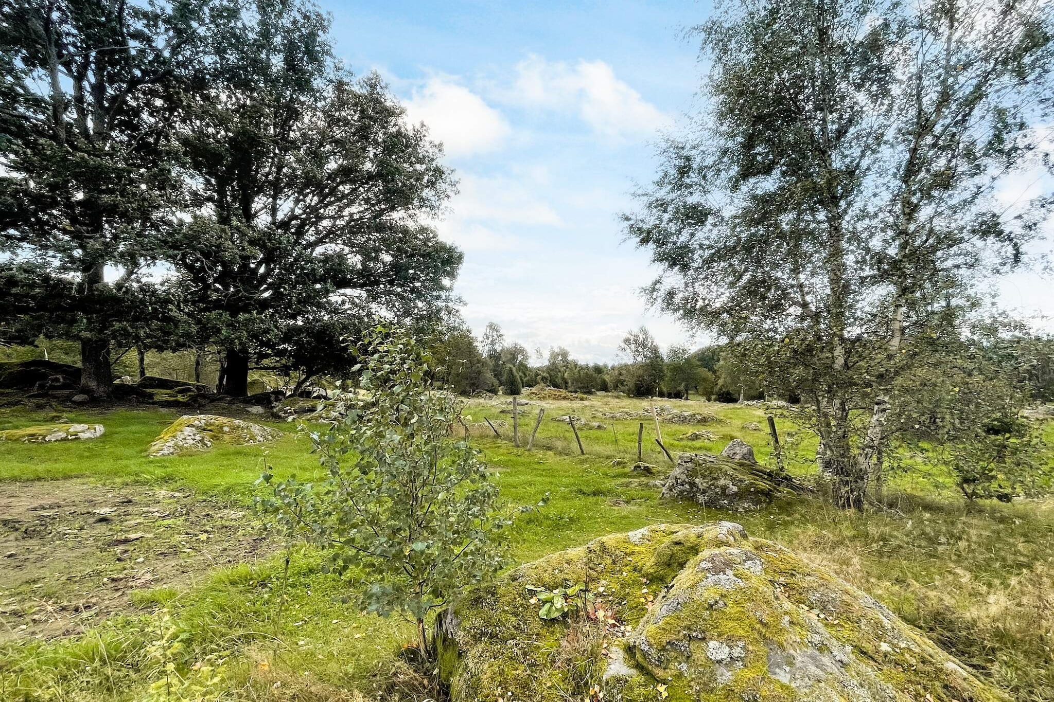 4 Personen vakantie huis in Mörlunda - Buitenlucht