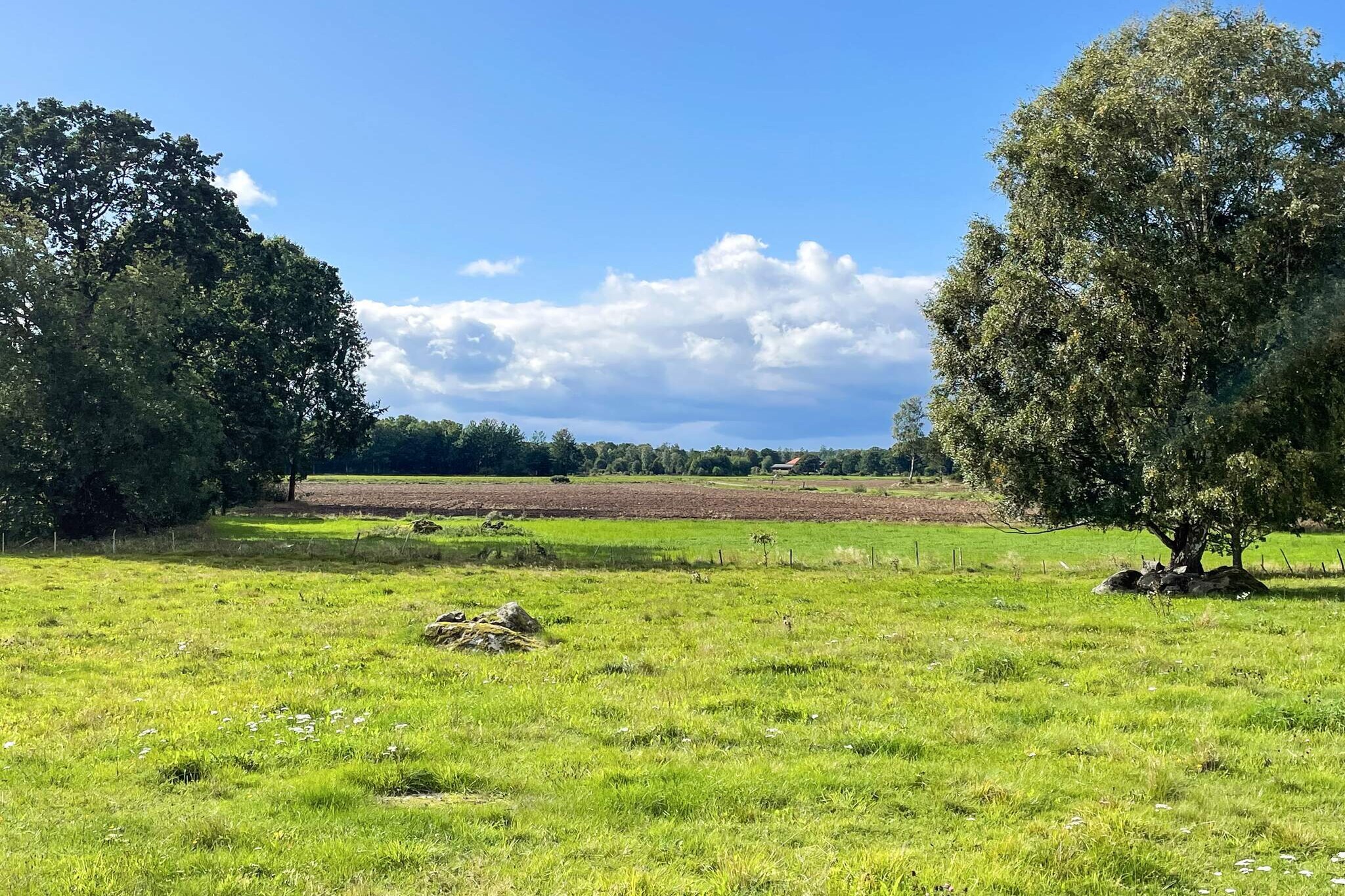 4 Personen vakantie huis in Mörlunda - Buitenlucht