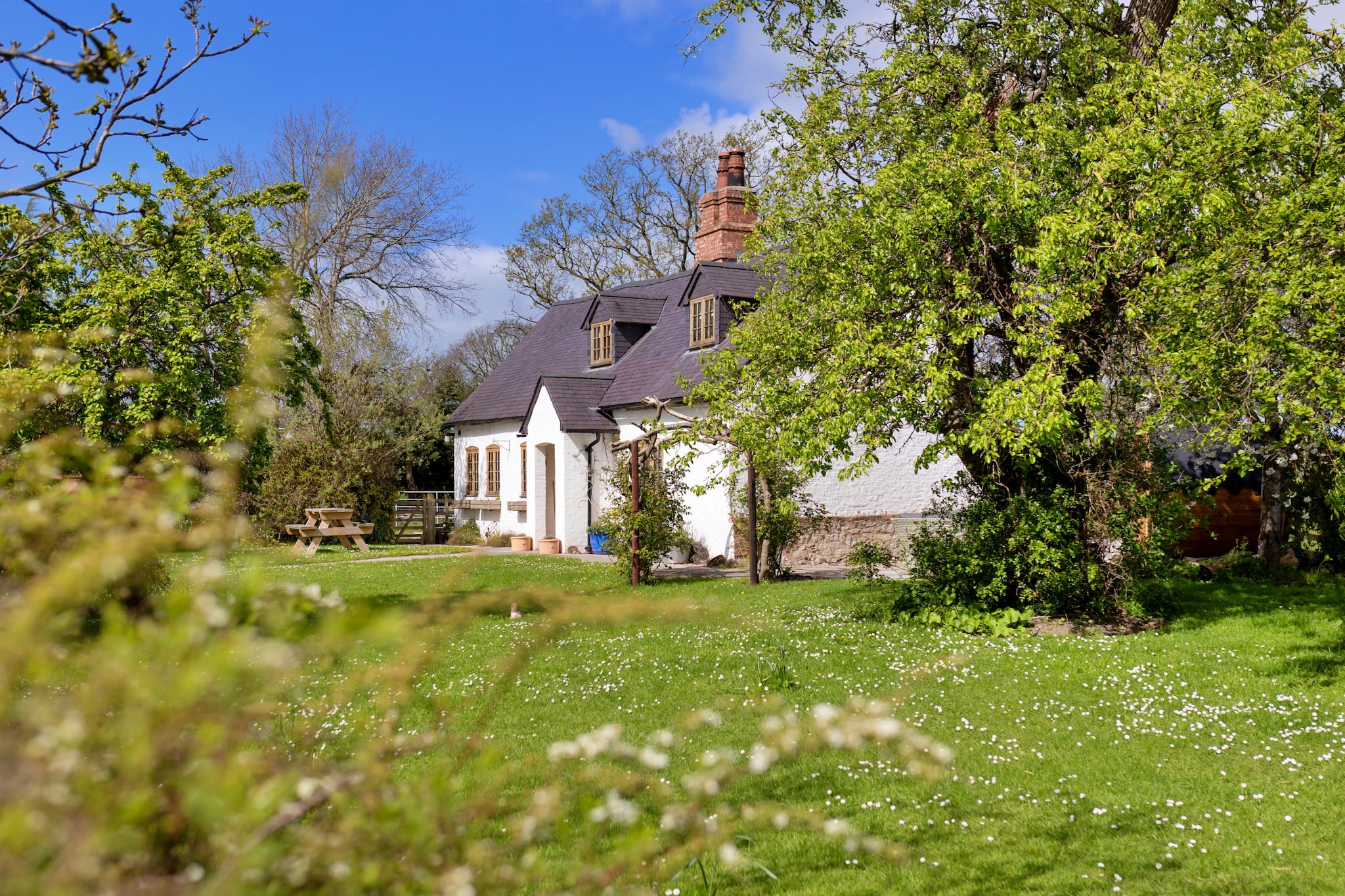 Waen Farm Cottage - Tuinen zomer