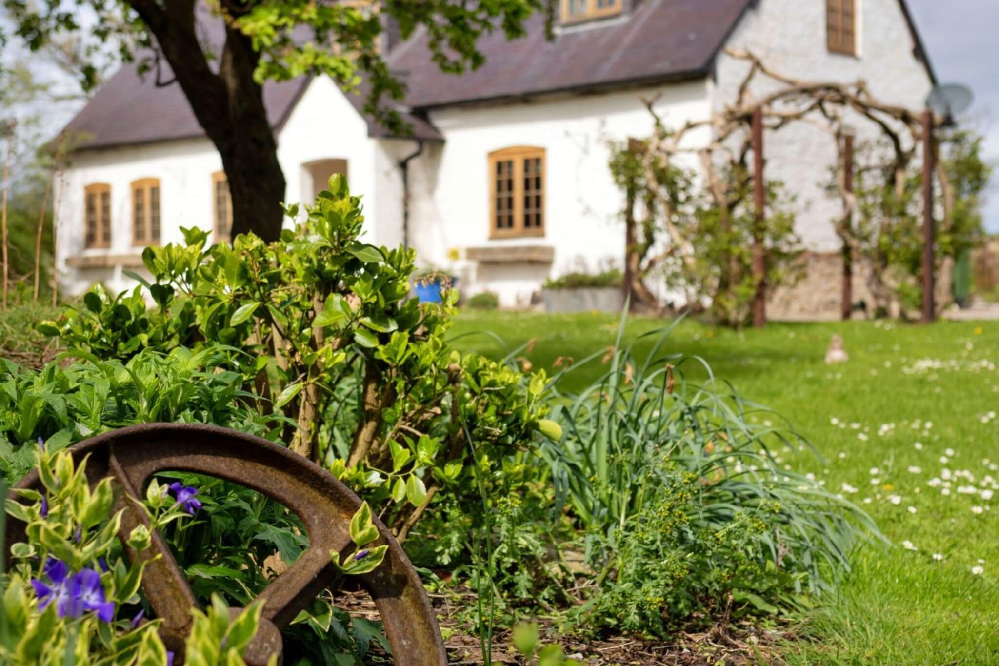 Waen Farm Cottage - Sfeer