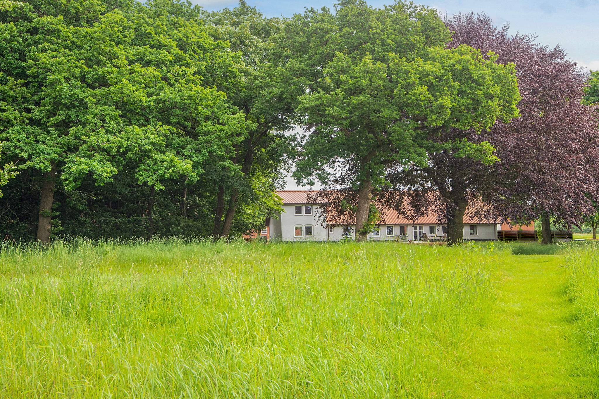 7 Personen vakantie huis in Ølgod - Uitzicht