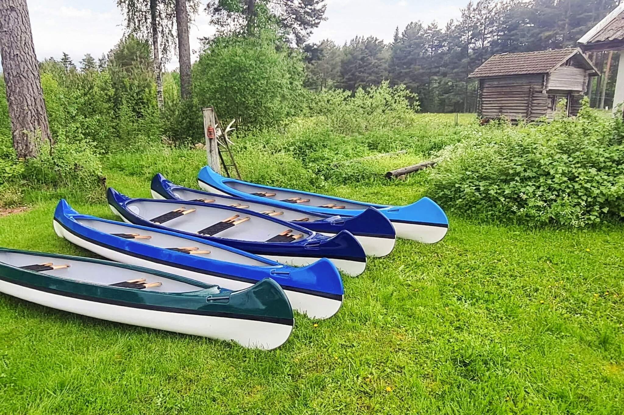 5 Sterne Ferienhaus in SKATTUNGBYN ORSA - Im Freien