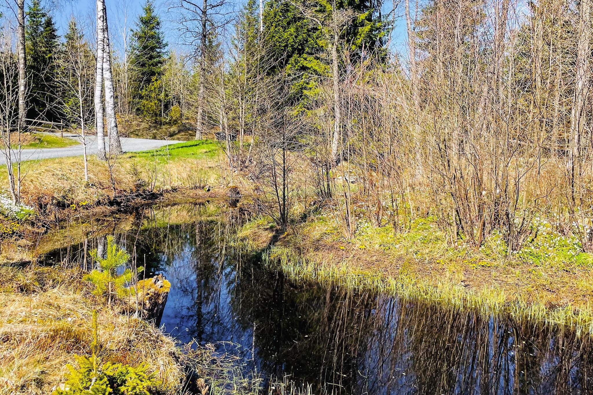 Vakantiehuis naast de vijver, Bodafors - Buitenlucht