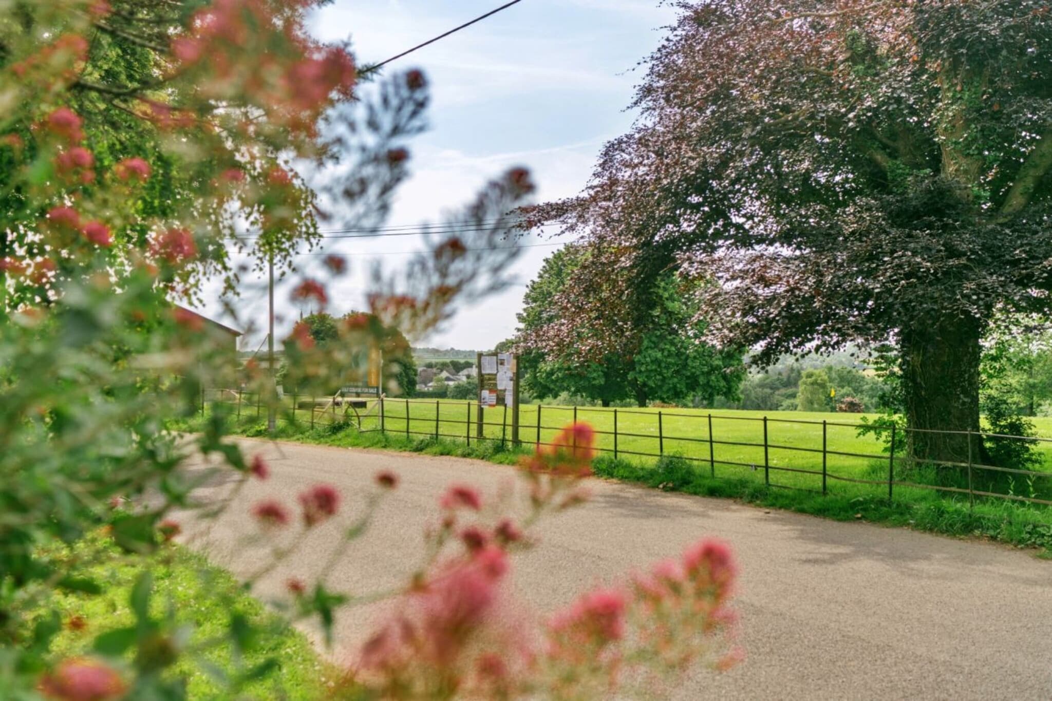 Wallingbrook Lodge - Gebieden zomer 1km