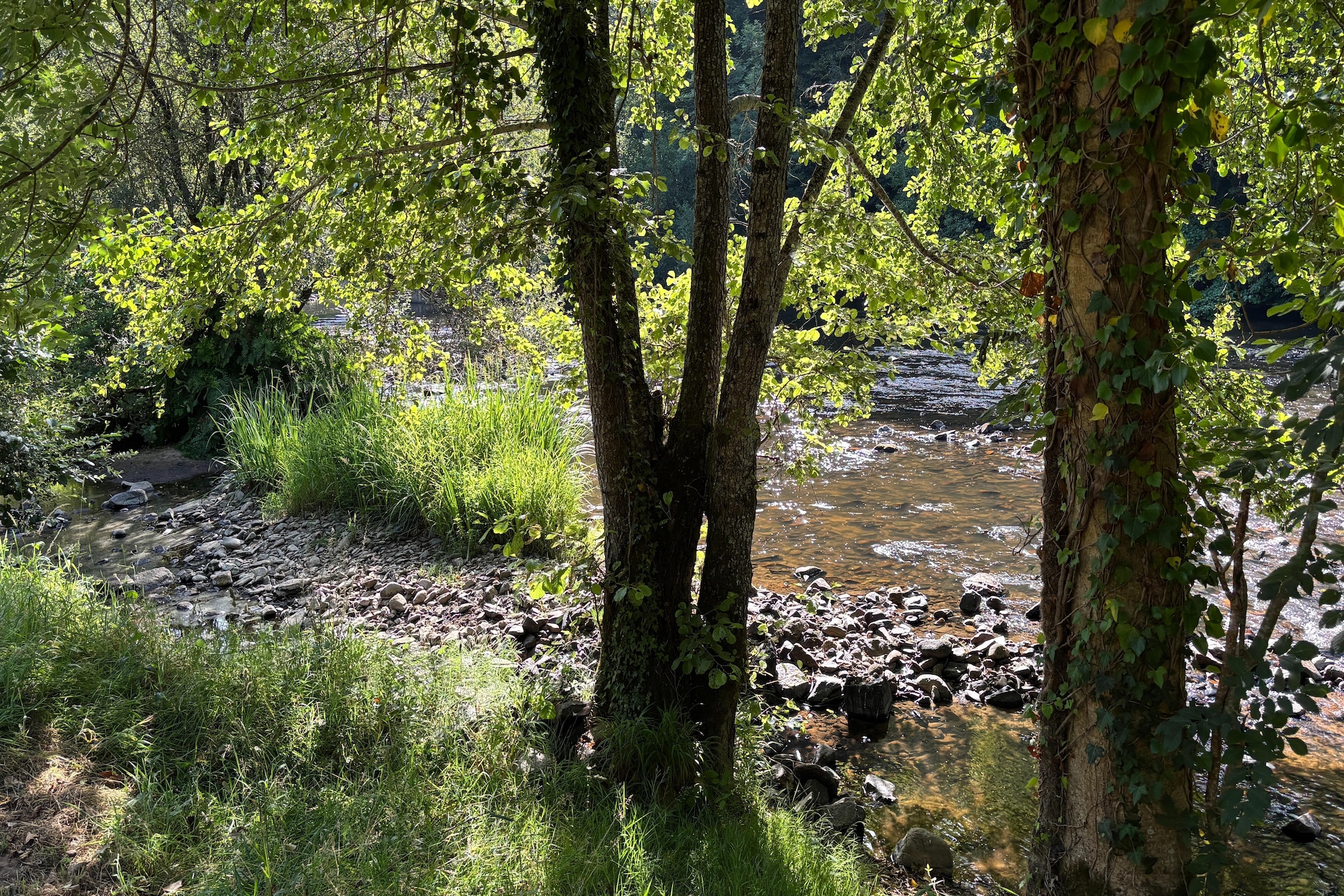 Les rives de Vézère