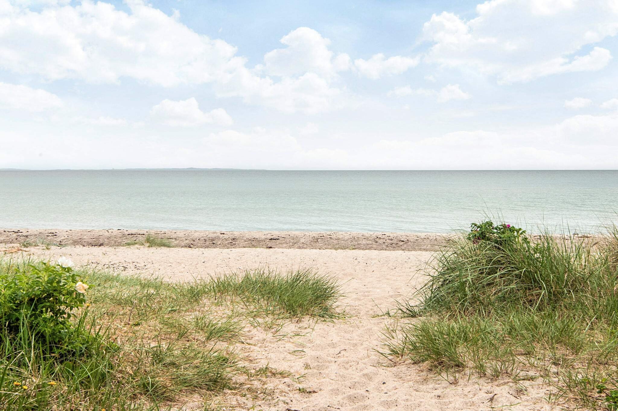 6 Personen vakantie huis in Odder - Niet-getagd