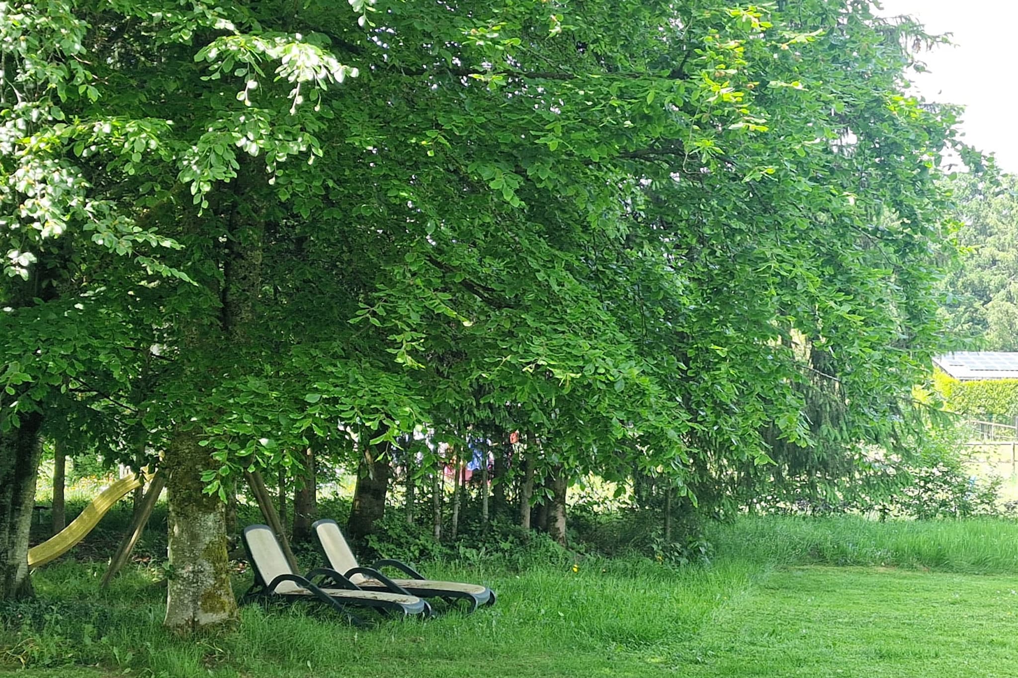 Charmante woning in Malmedy - Gardens in summer