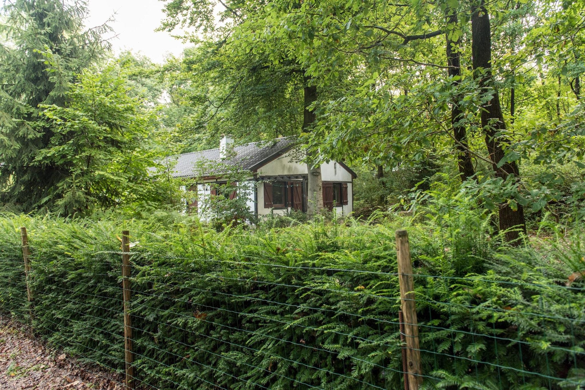 Woning Beffe-Rendeux - Außenbereich Sommer