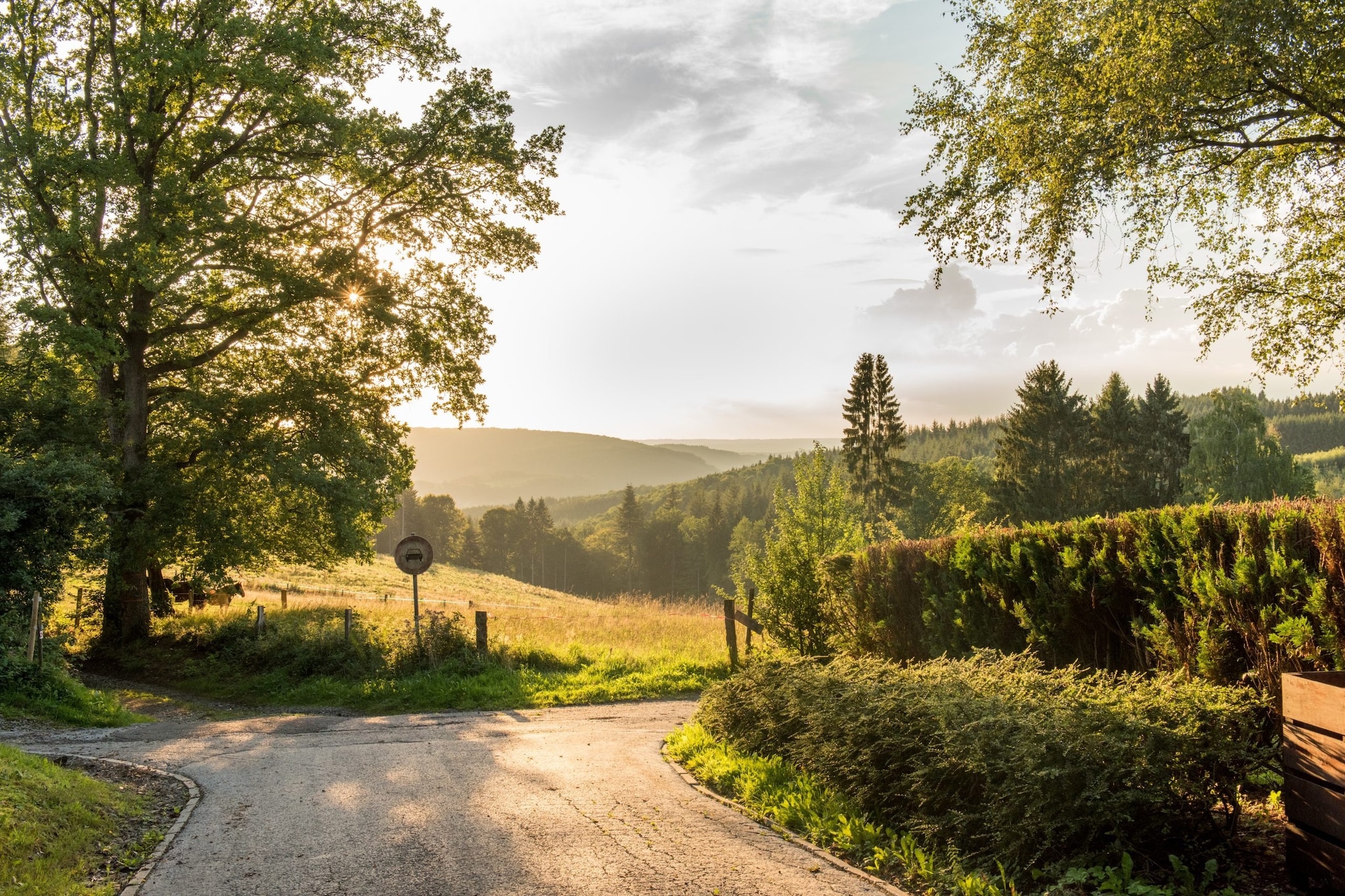 Woning Beffe-Rendeux - Gebiete Sommer 5 km