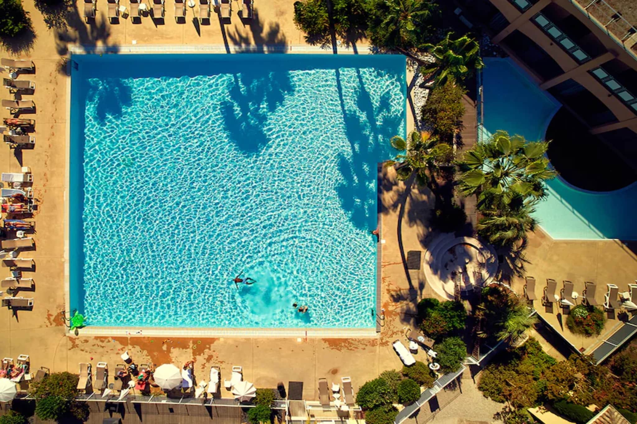 P&V Premium les Rives de Cannes Mandelieu Apartment 6 people - 1 bedroom + 1 sleeping alcove - Terrace or balcony - Zwembad