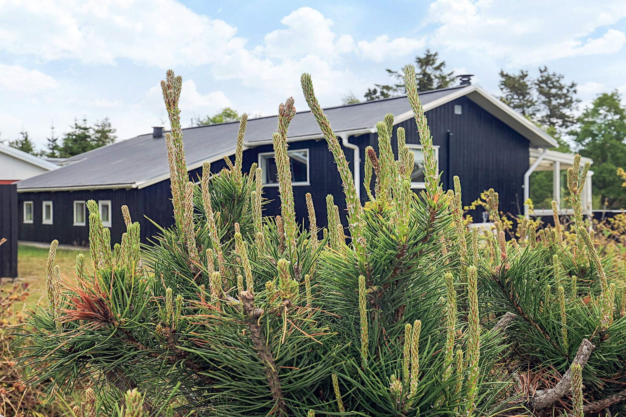 6 person holiday home in Sæby - View