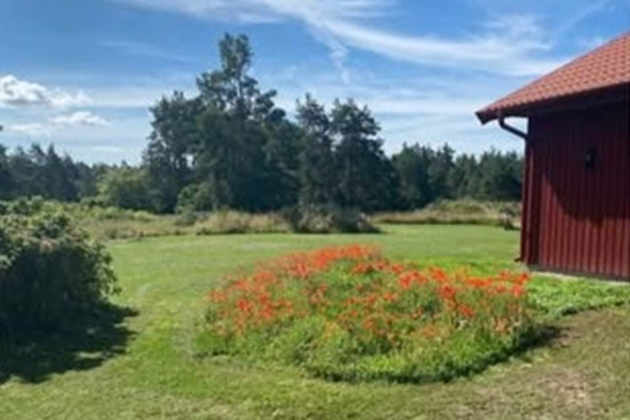 4 sterren vakantie huis in FÄRJESTADEN - Buitenlucht