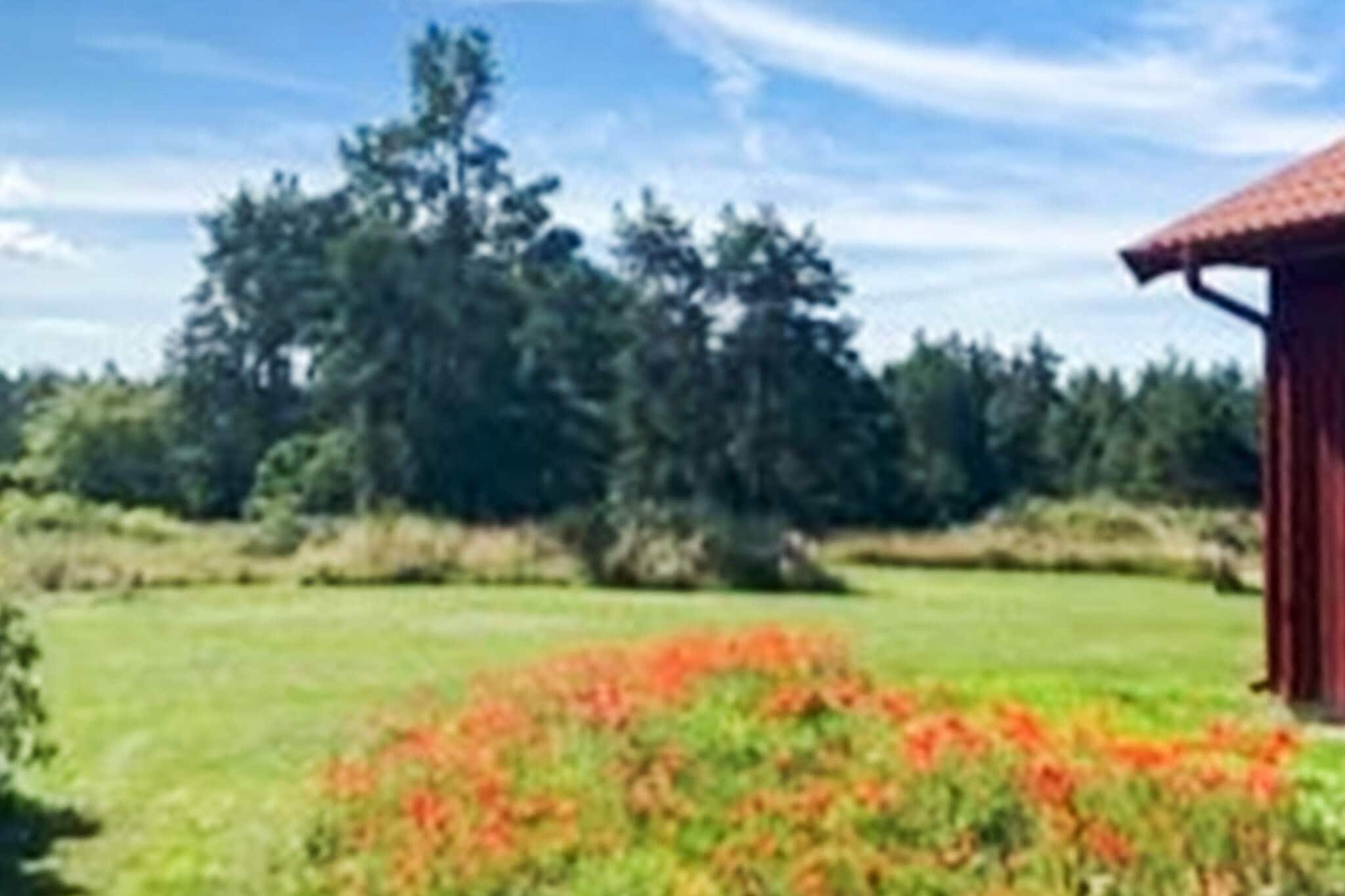 4 sterren vakantie huis in FÄRJESTADEN - Buitenlucht
