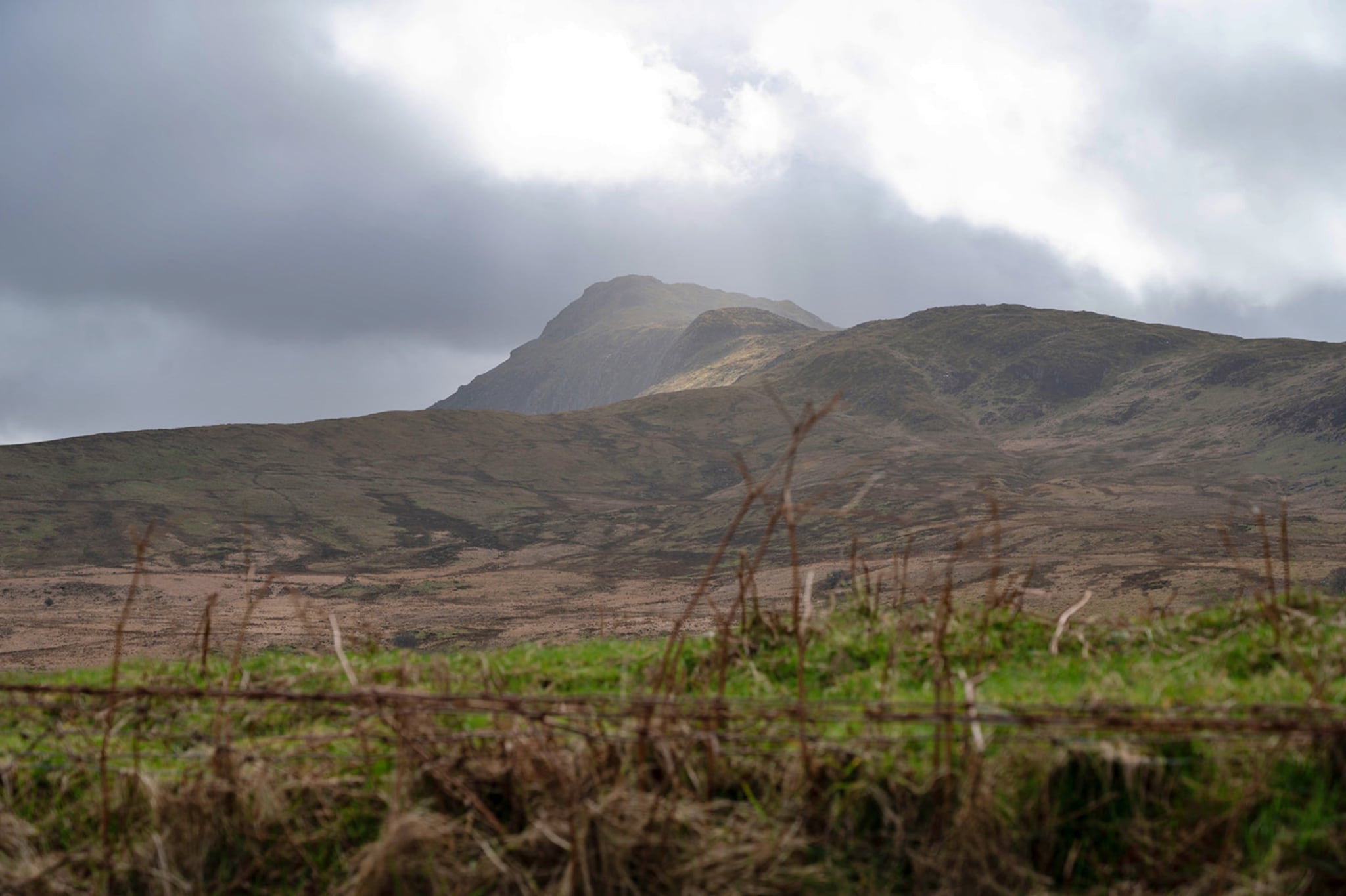 Cae Rhug - Areas within 5km in summer