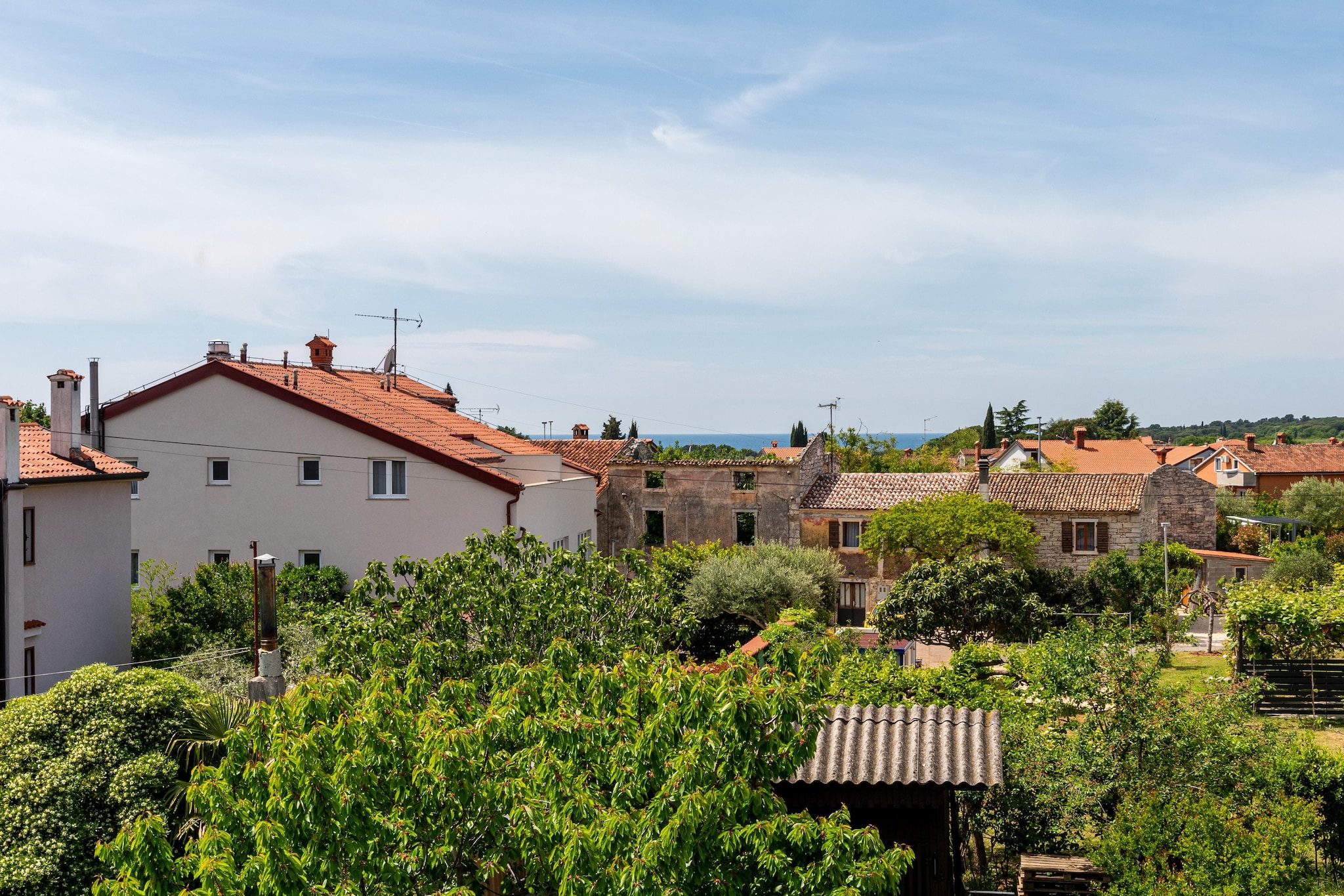 Apartment Golden Olive 1