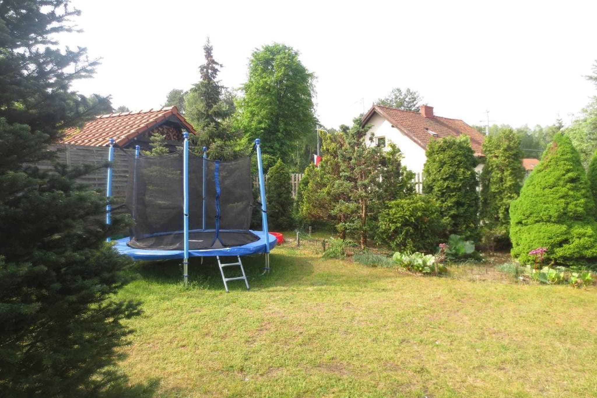 Dom wakacyjny dla max 12 osób w Pluskach - Gardens in summer