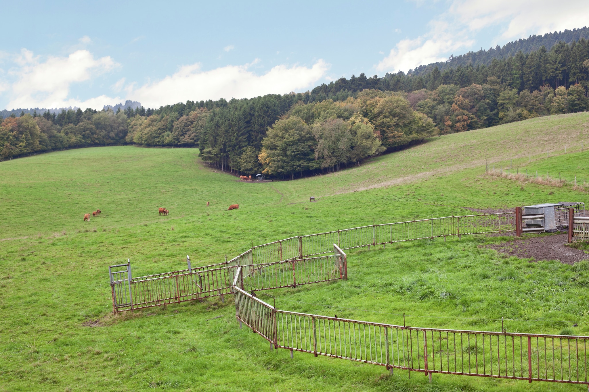 Weitblick Parterre - Vue d'été