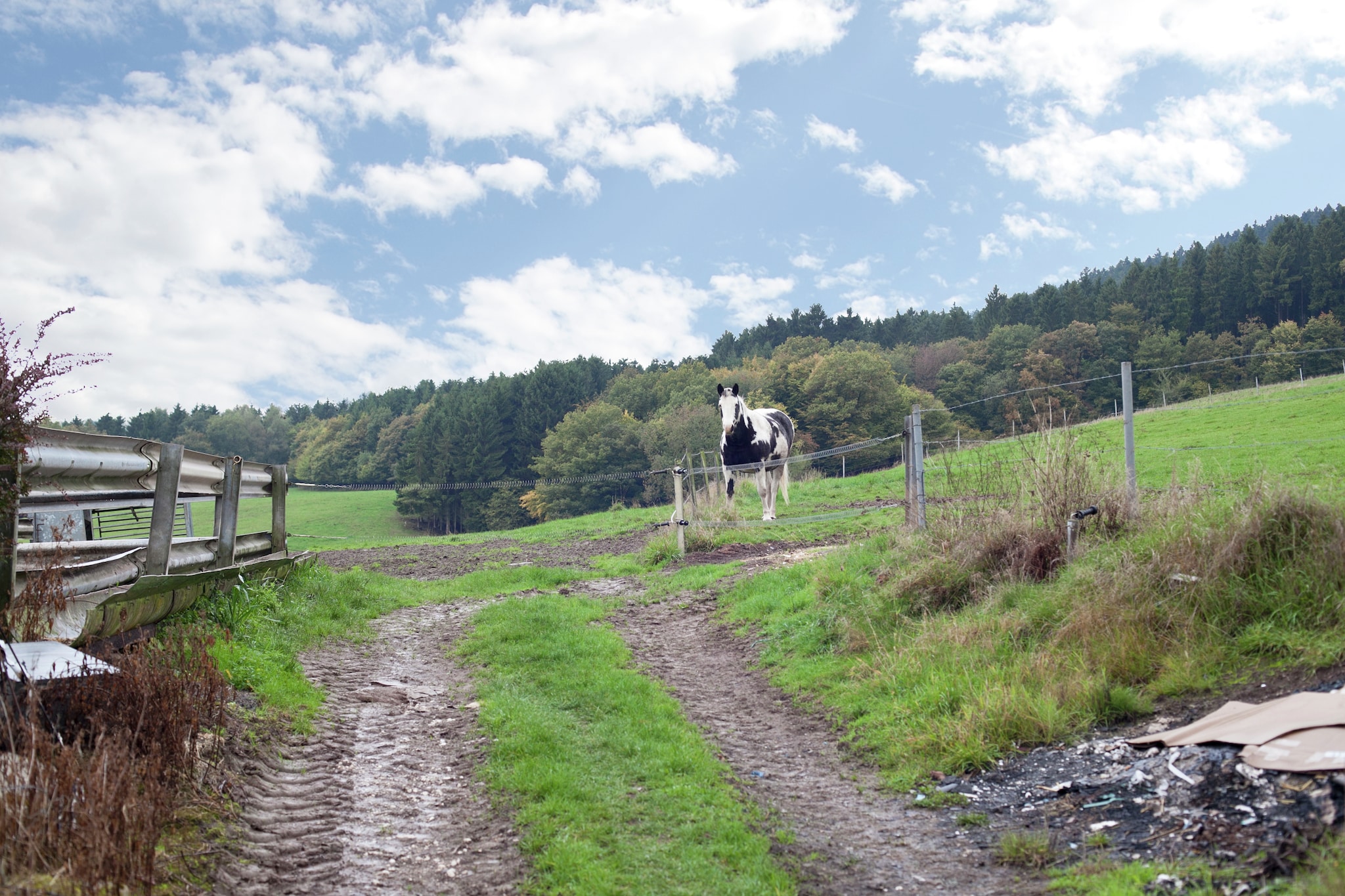 Weitblick 1Etage - Gebieden zomer 1km