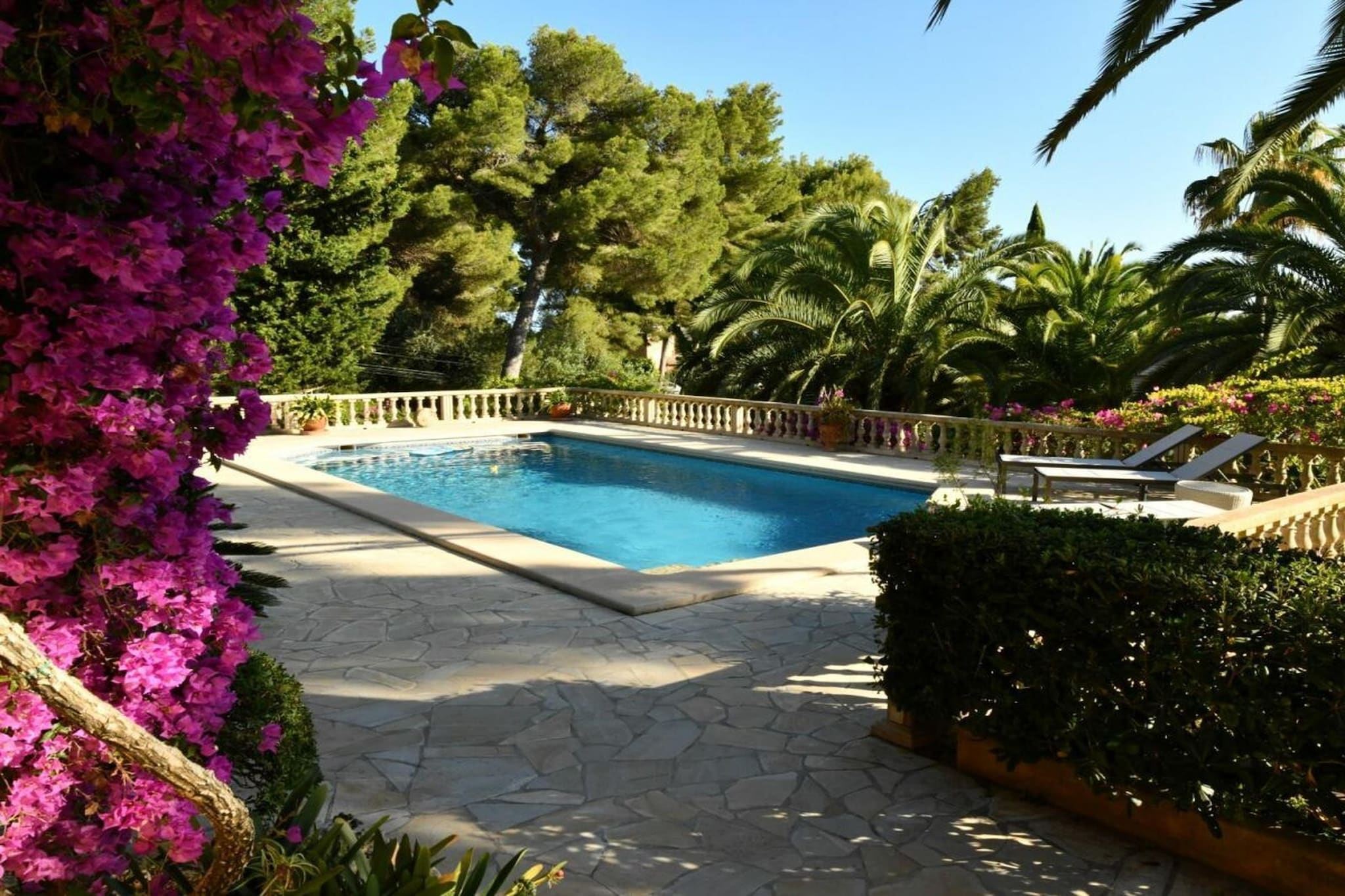 343861 - Piscine