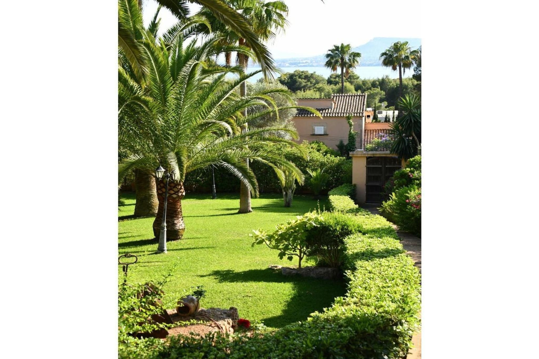343861 - Jardins en été