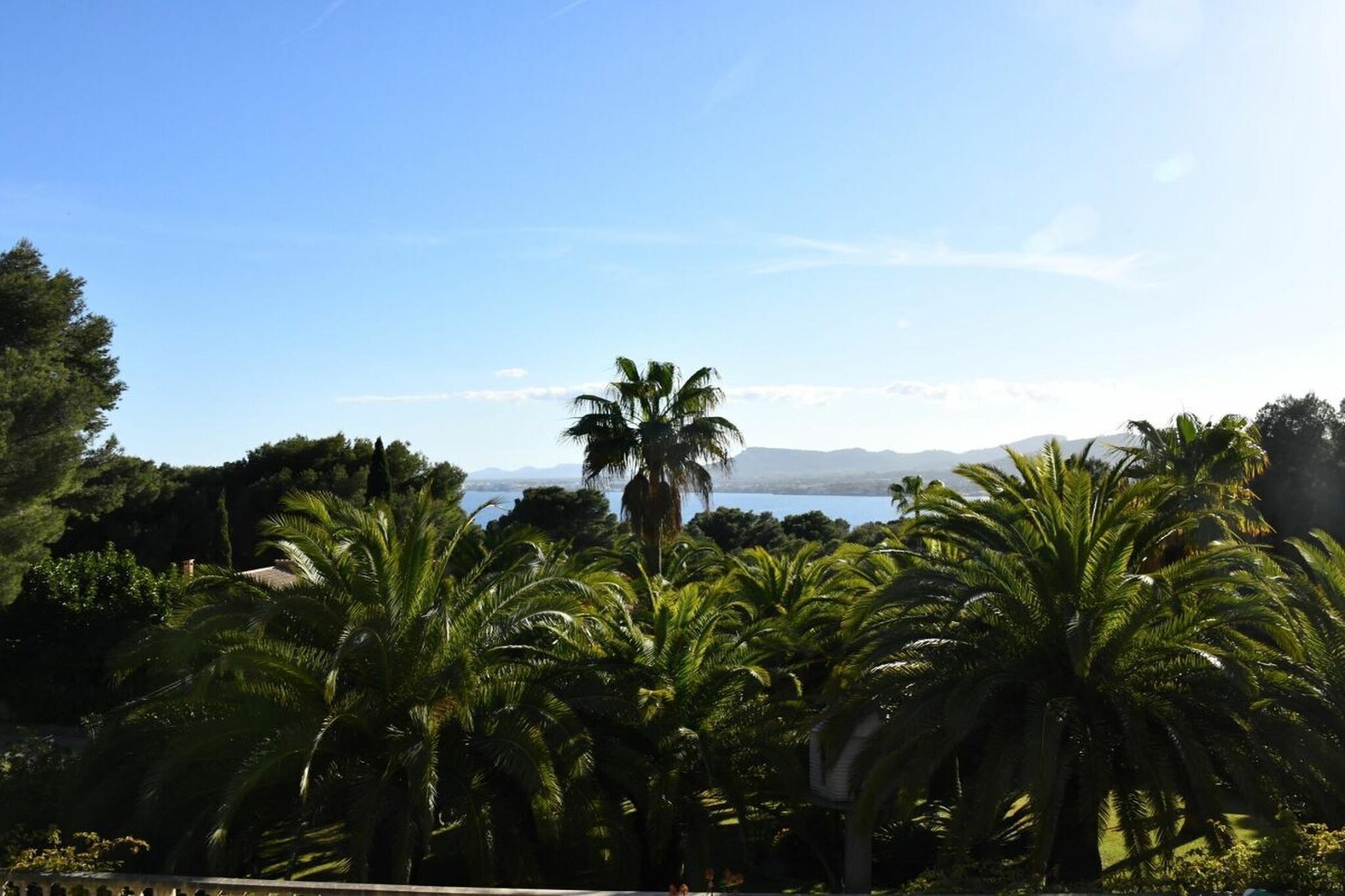 343861 - Vue d'été