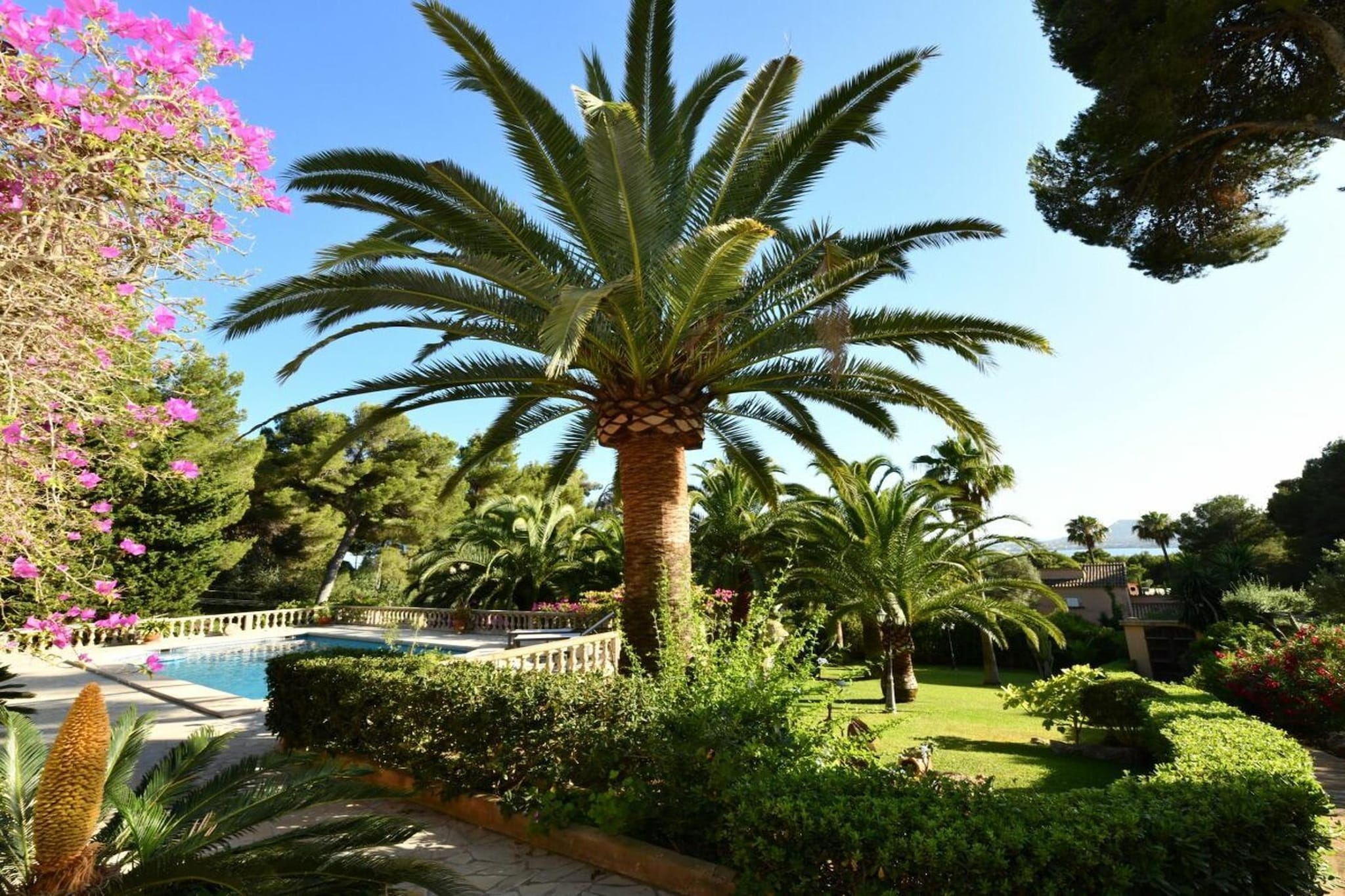 343861 - Jardins en été