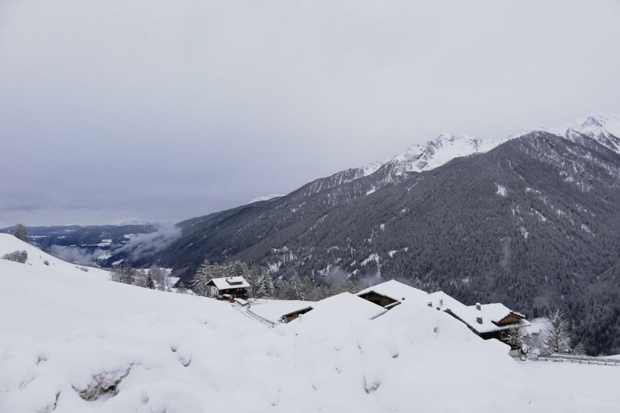 40379 - Gebiet Winter 5 km