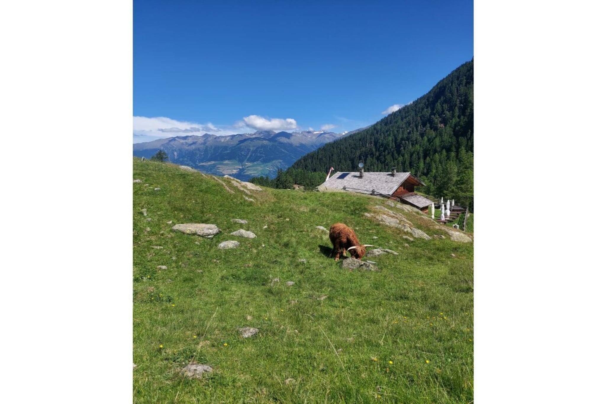 626798 - Gebieden zomer 5km
